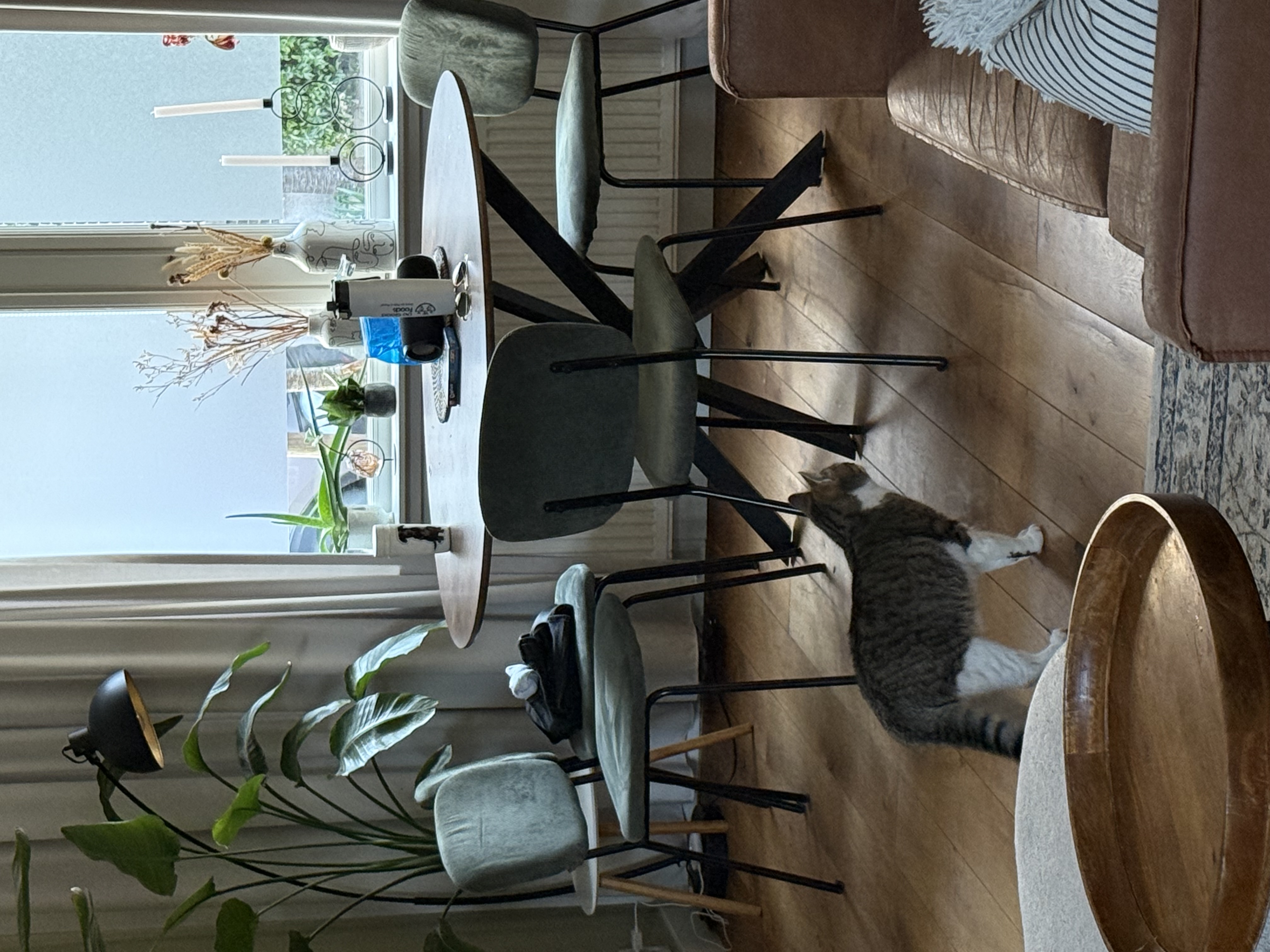 image-5