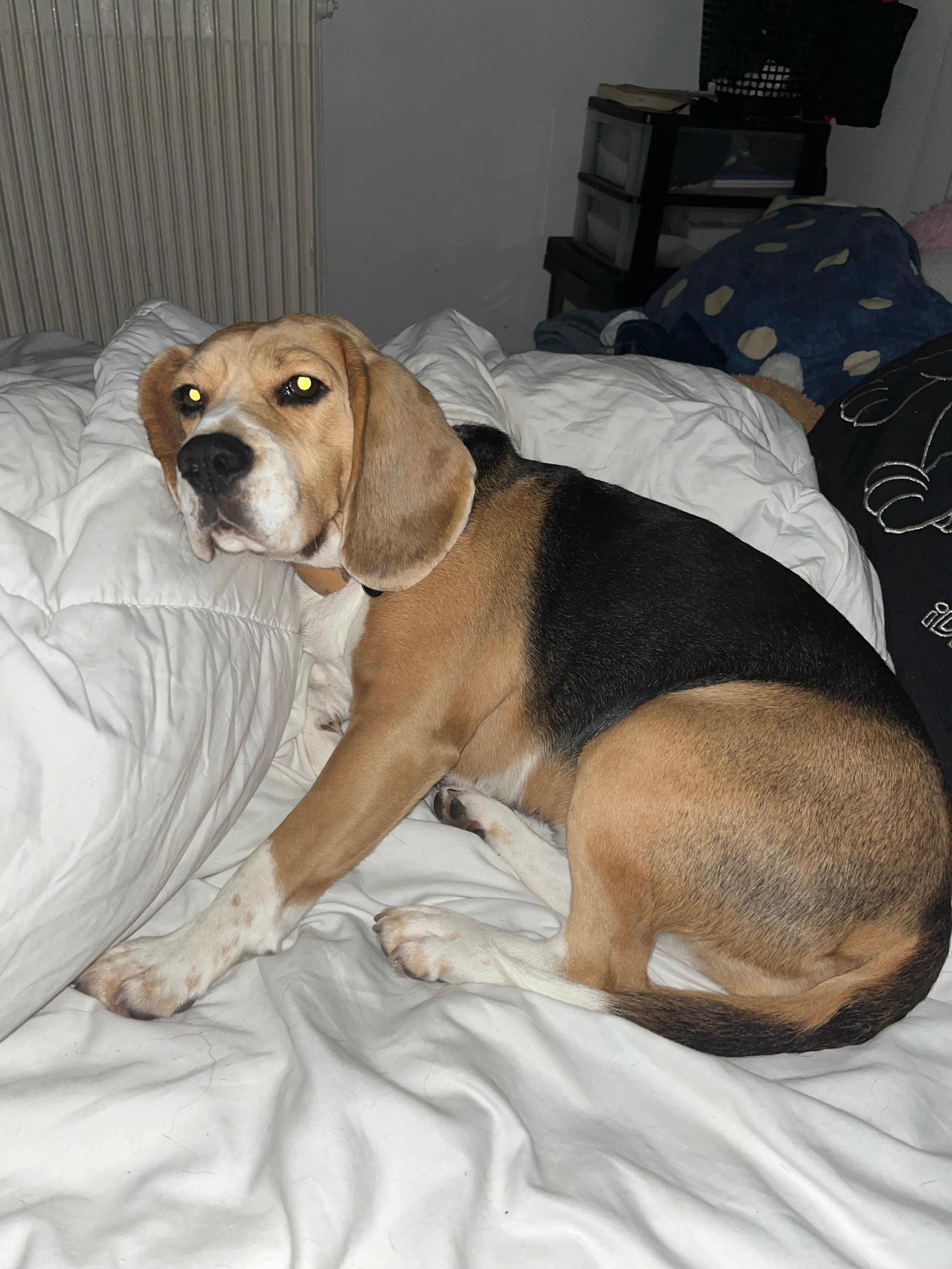 image-49