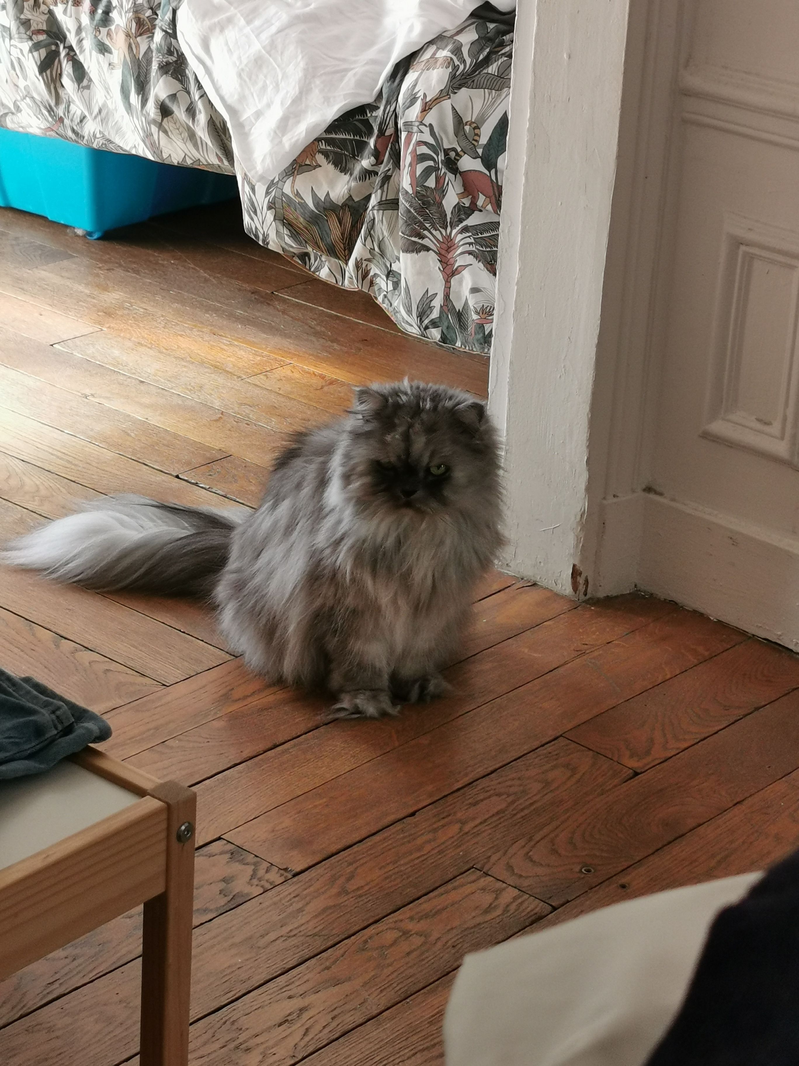 image-6