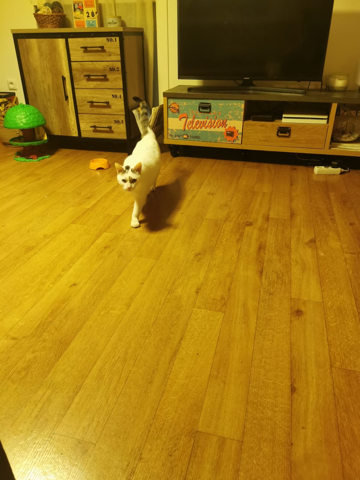 image-7