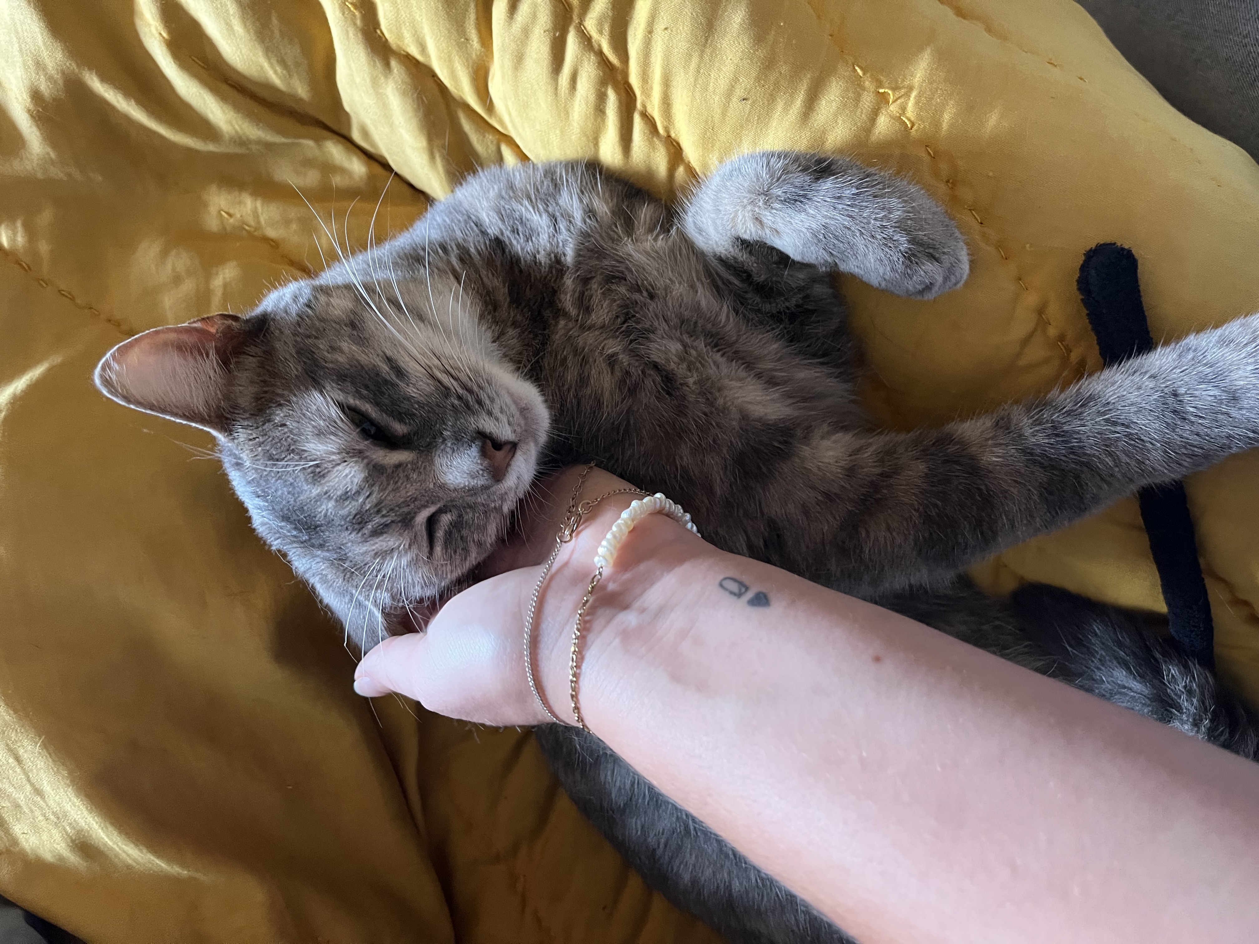 image-6