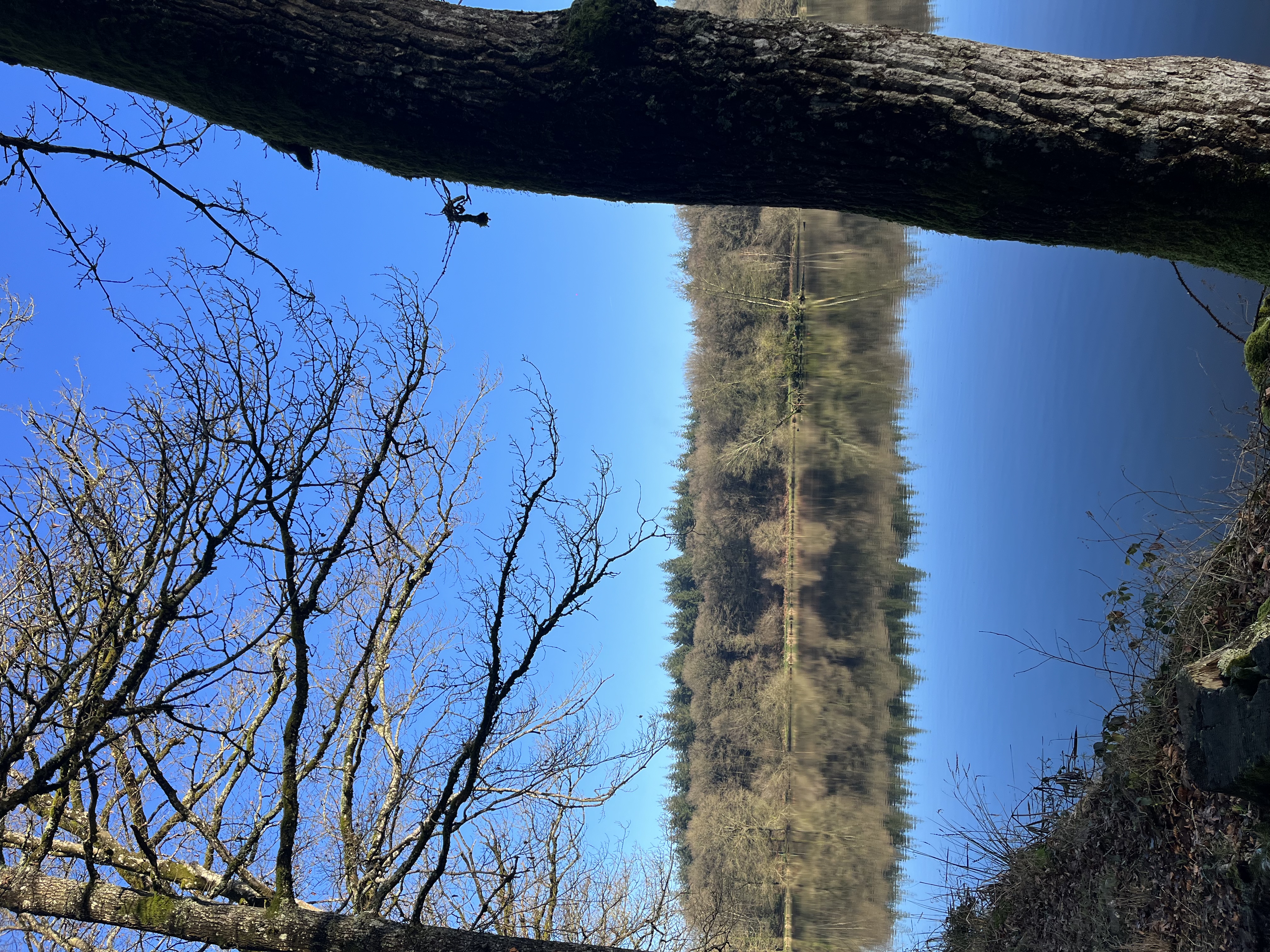 image-14