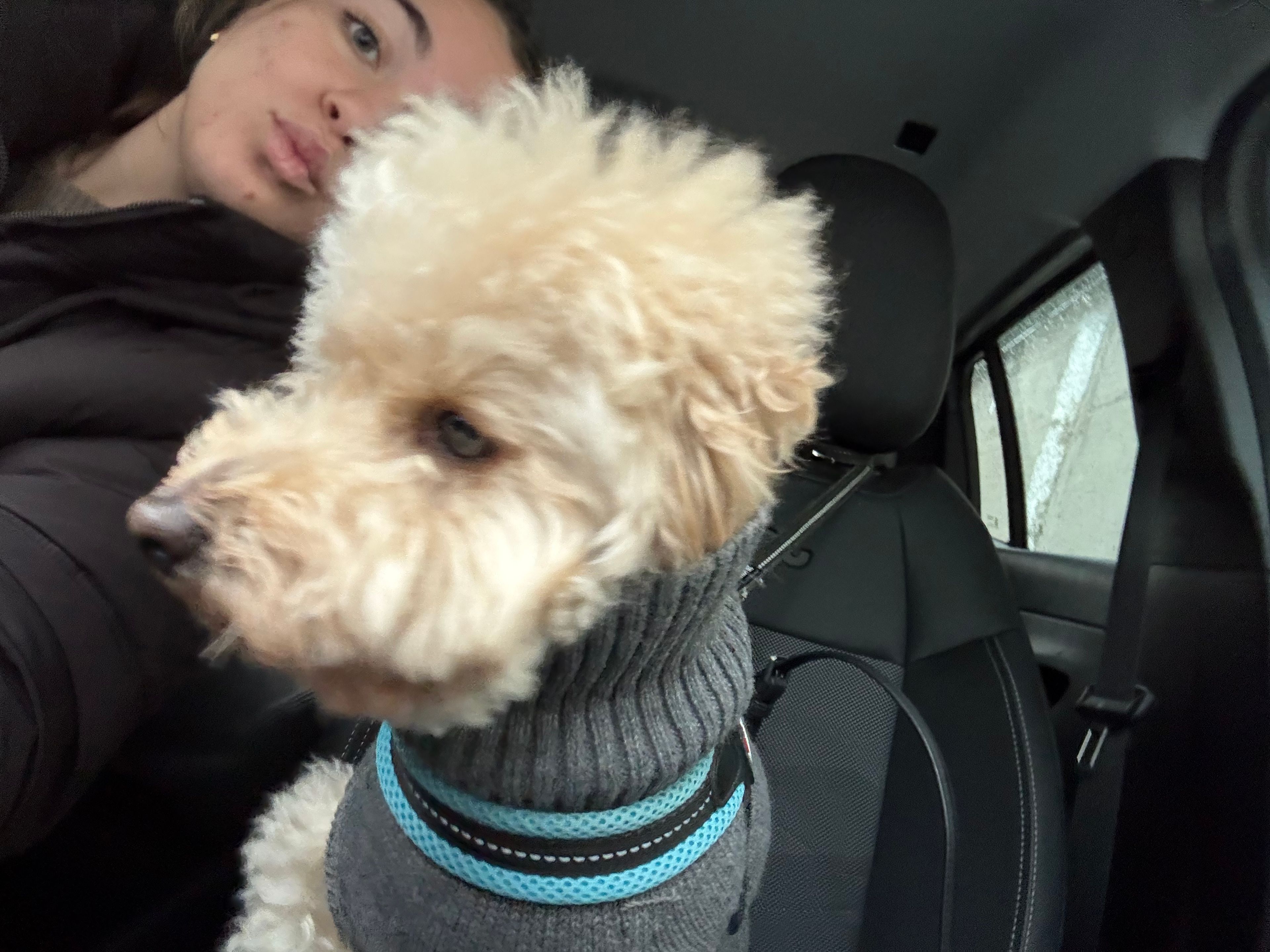 image-7