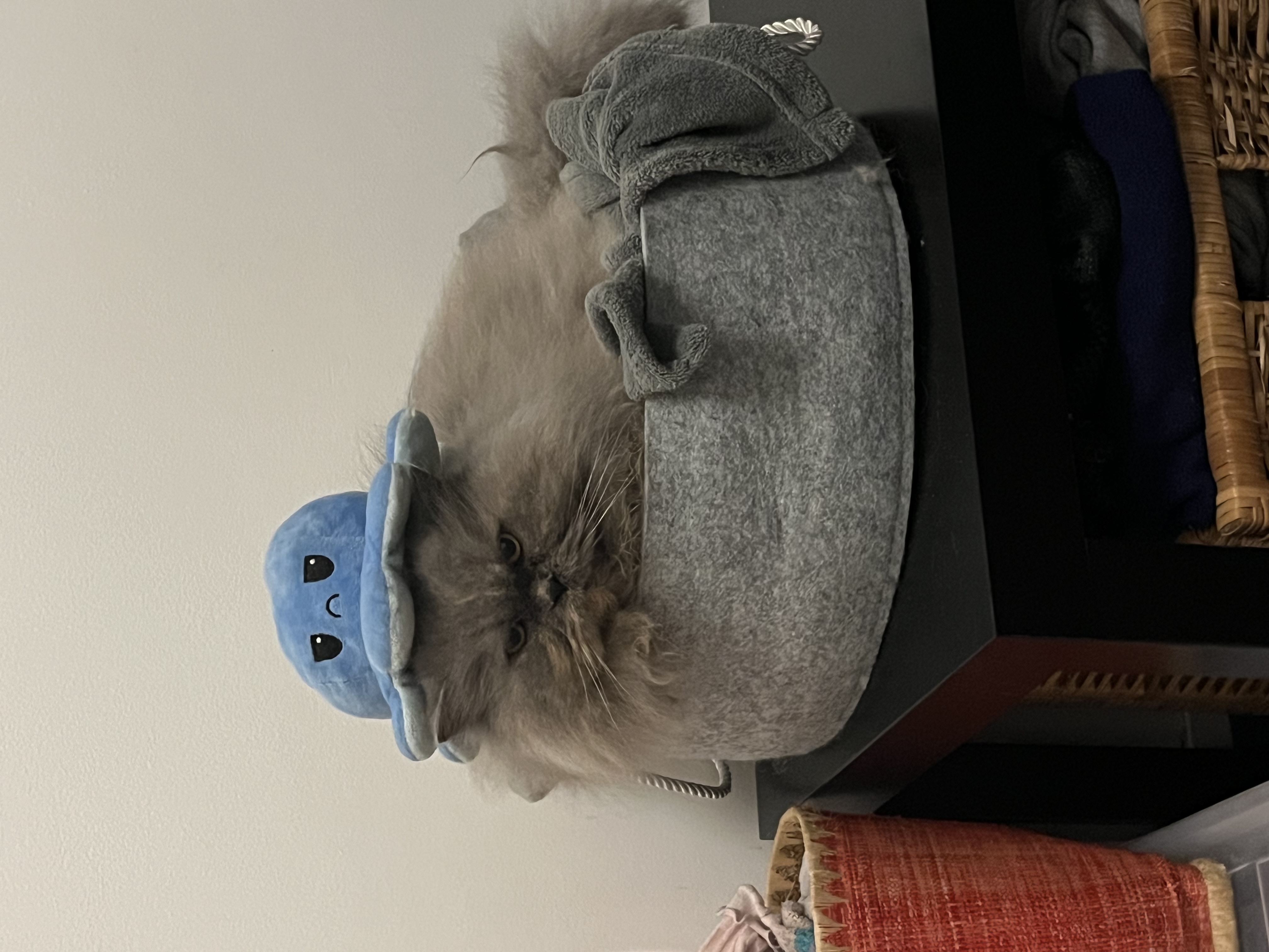 image-6