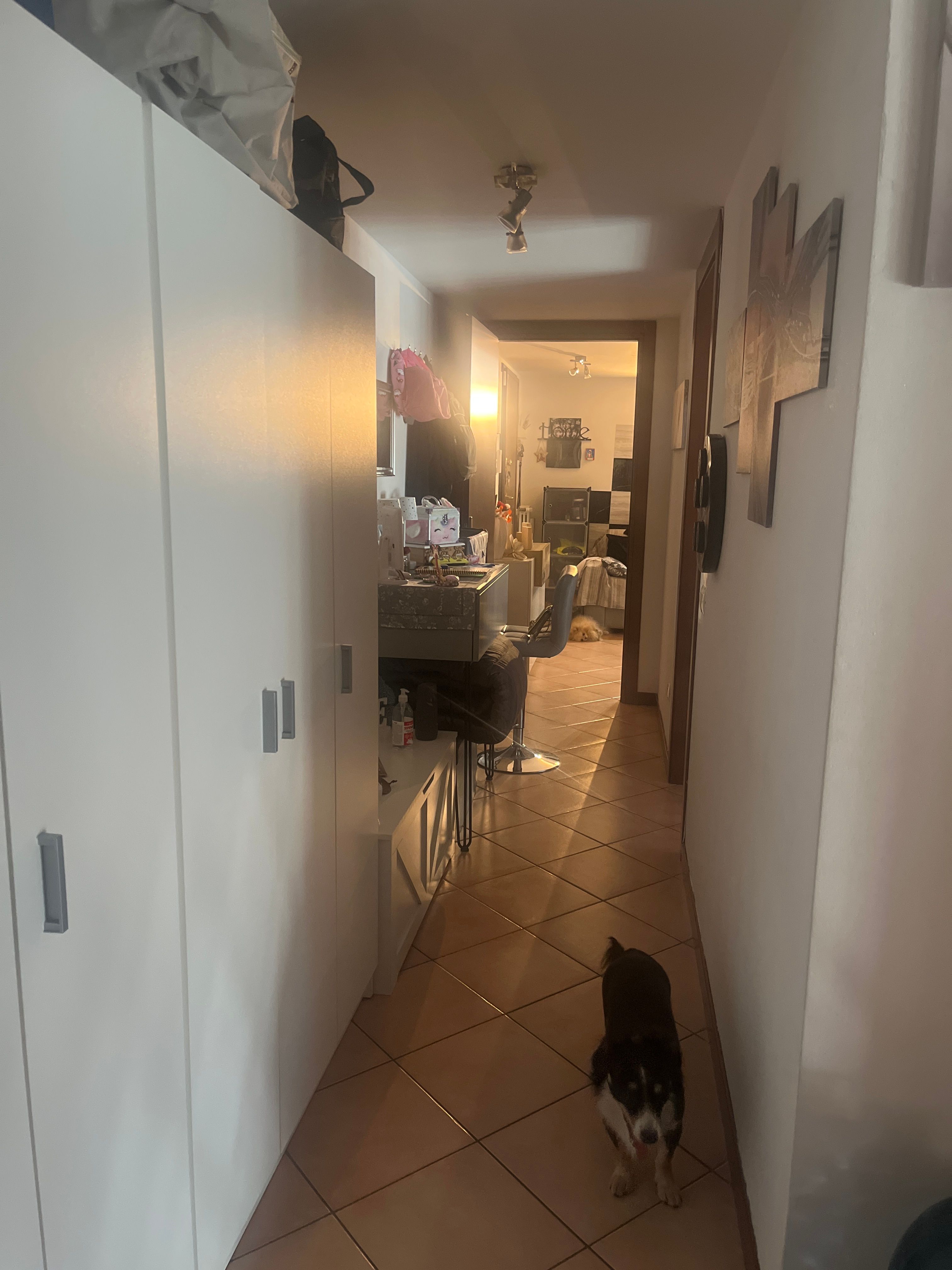 image-19