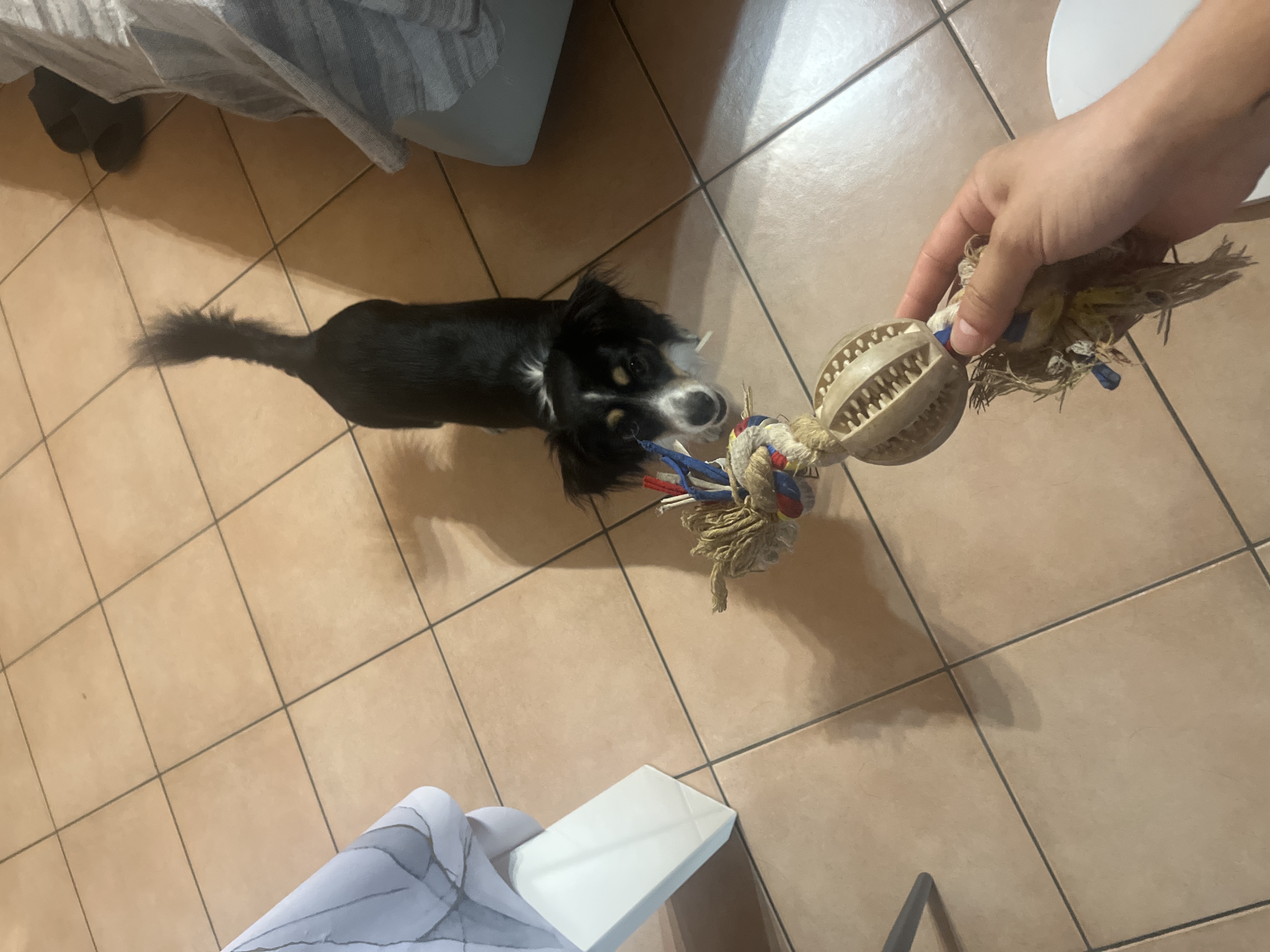 image-11