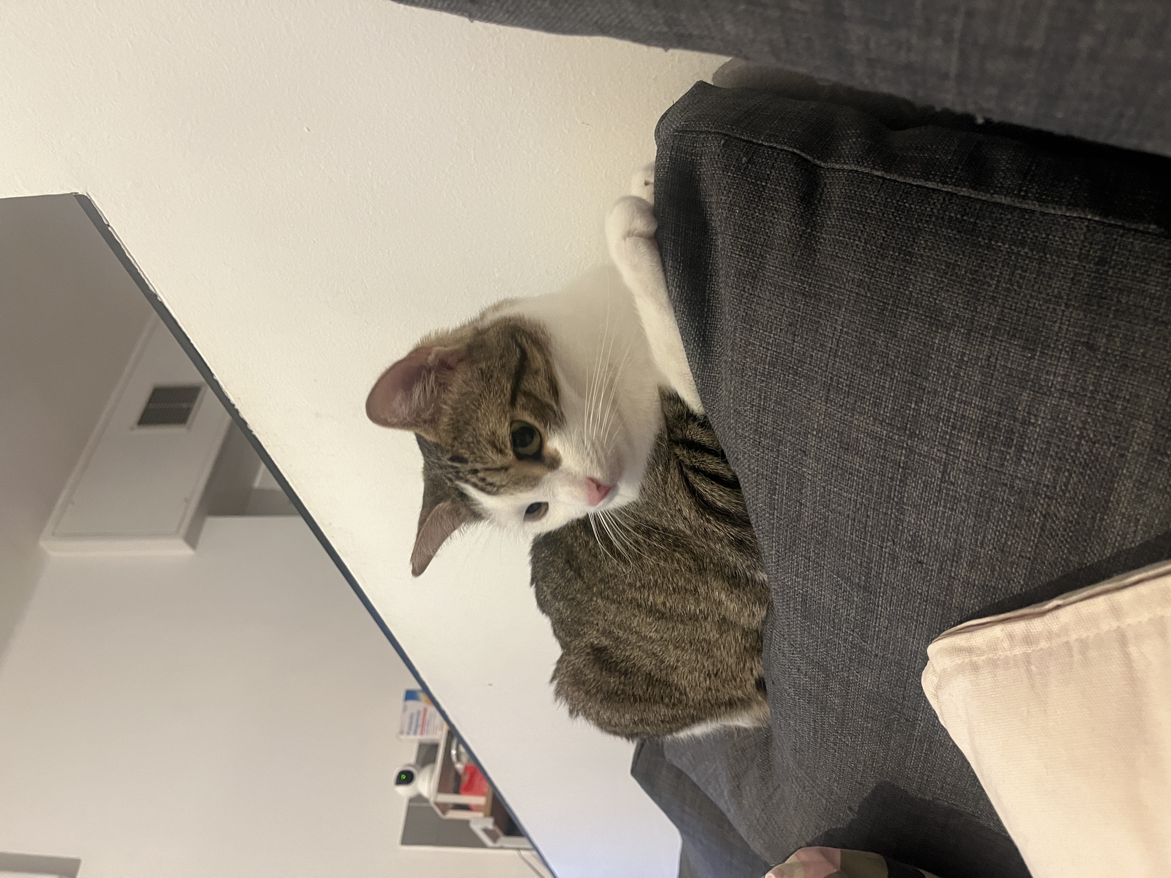 image-6