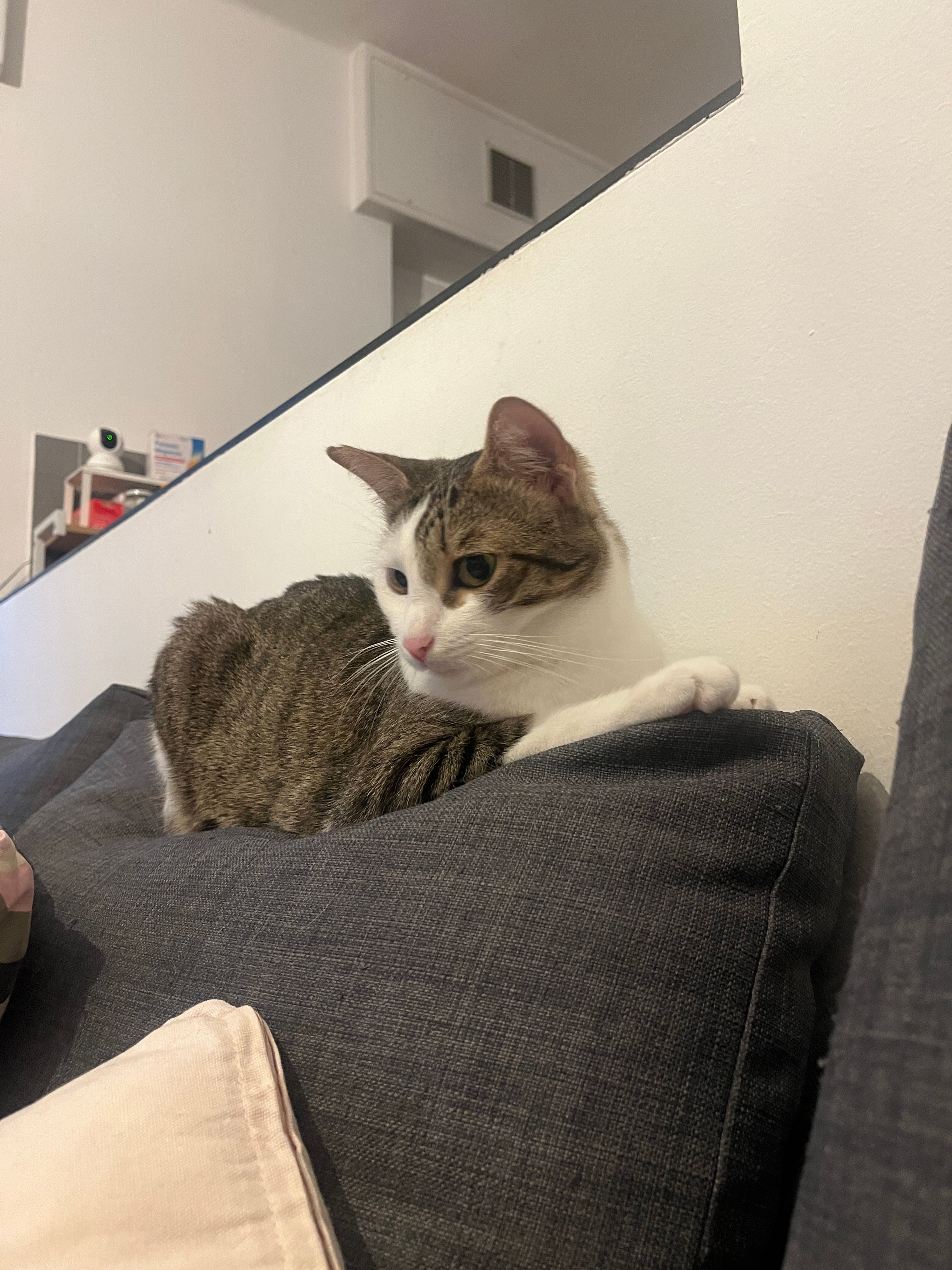 image-6