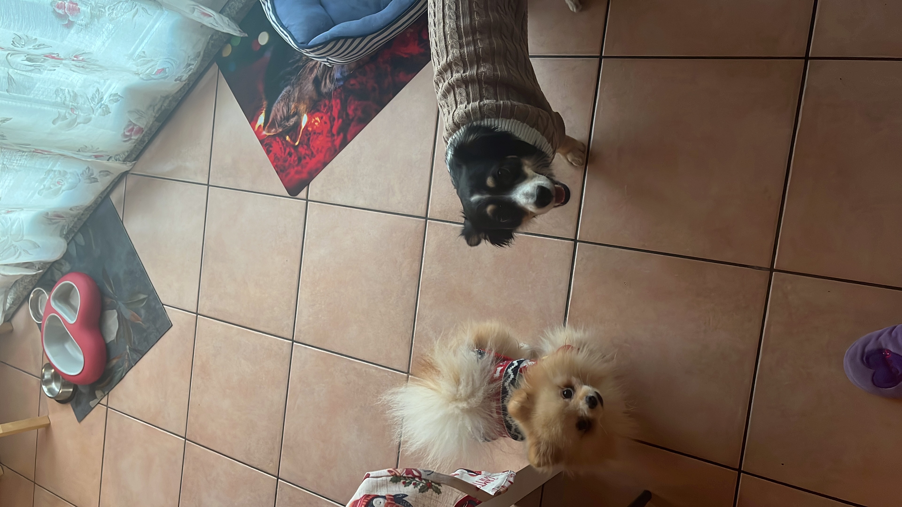 image-7