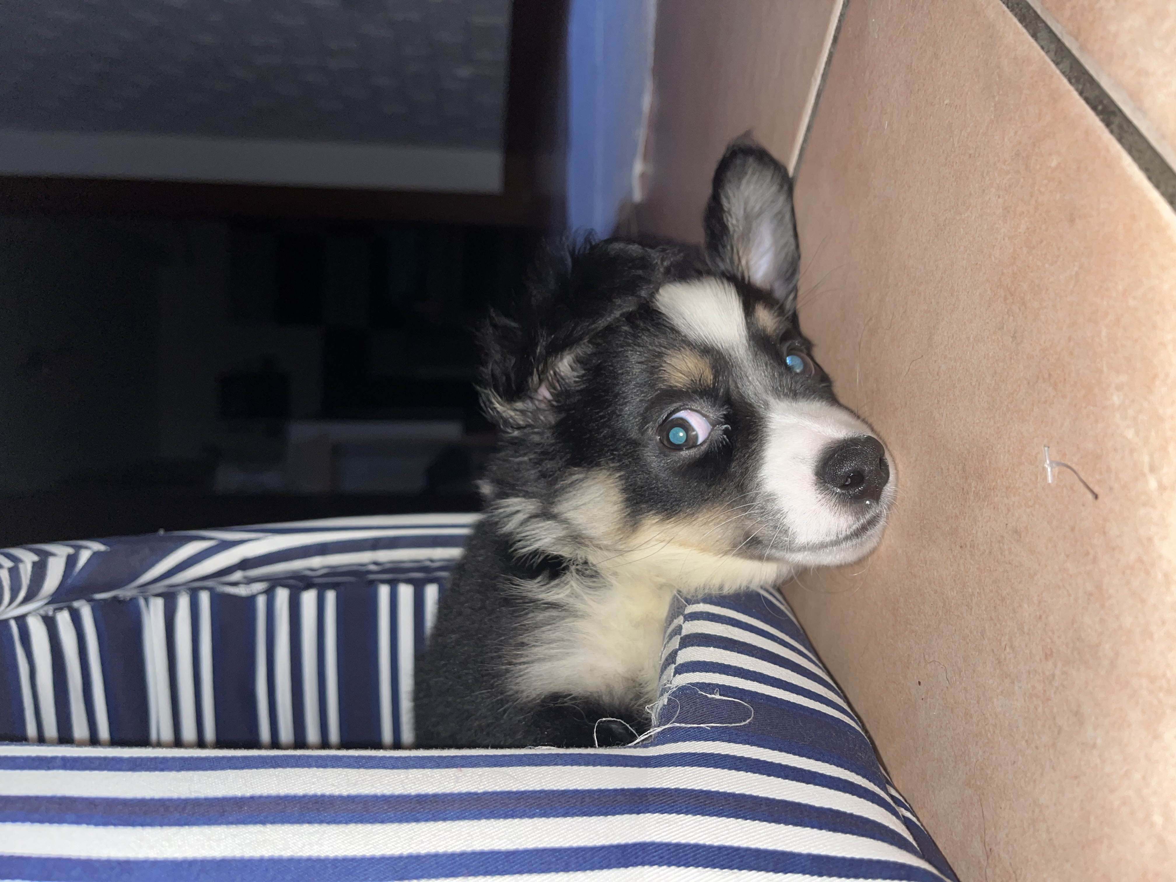 image-9