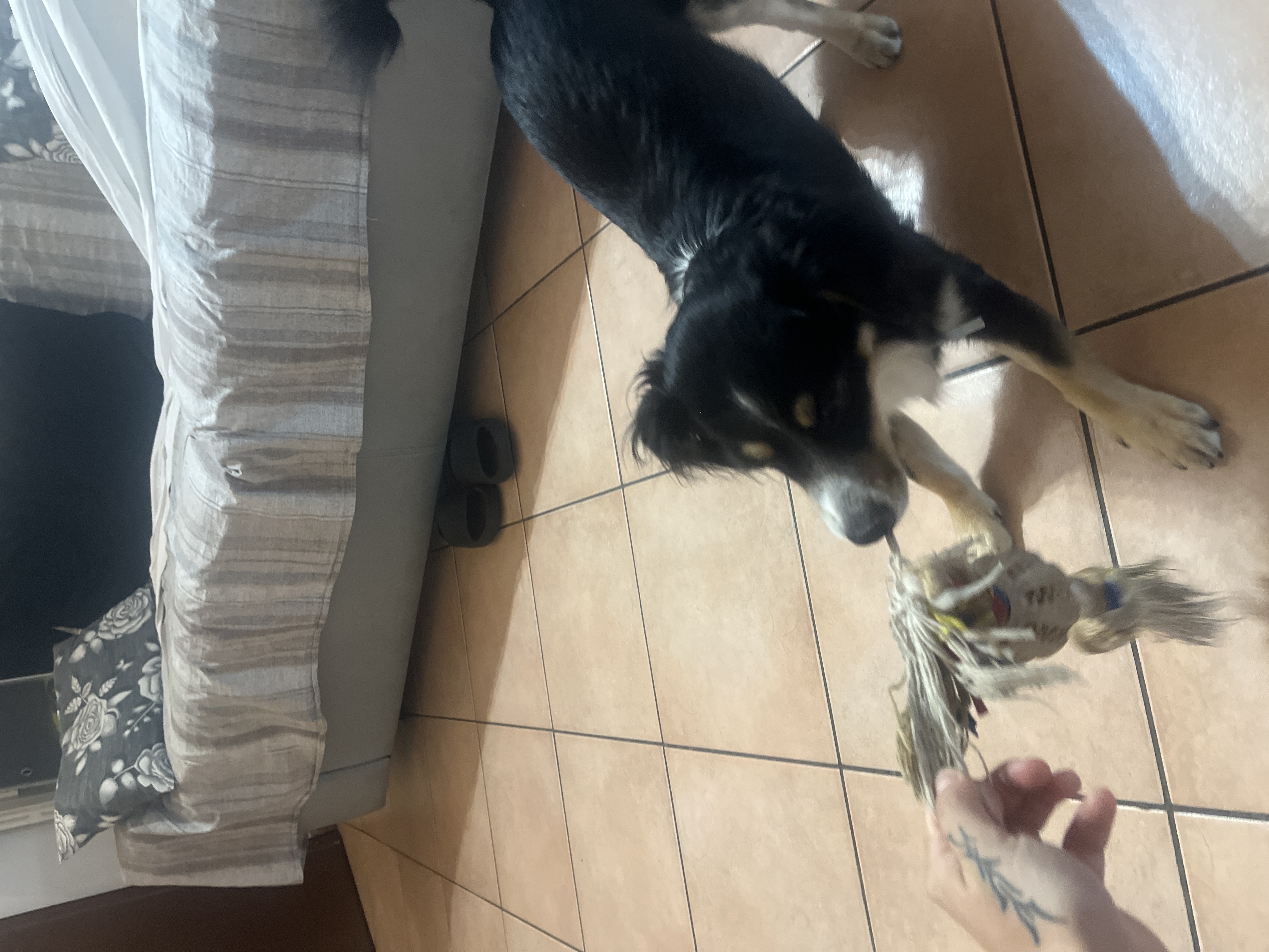 image-12