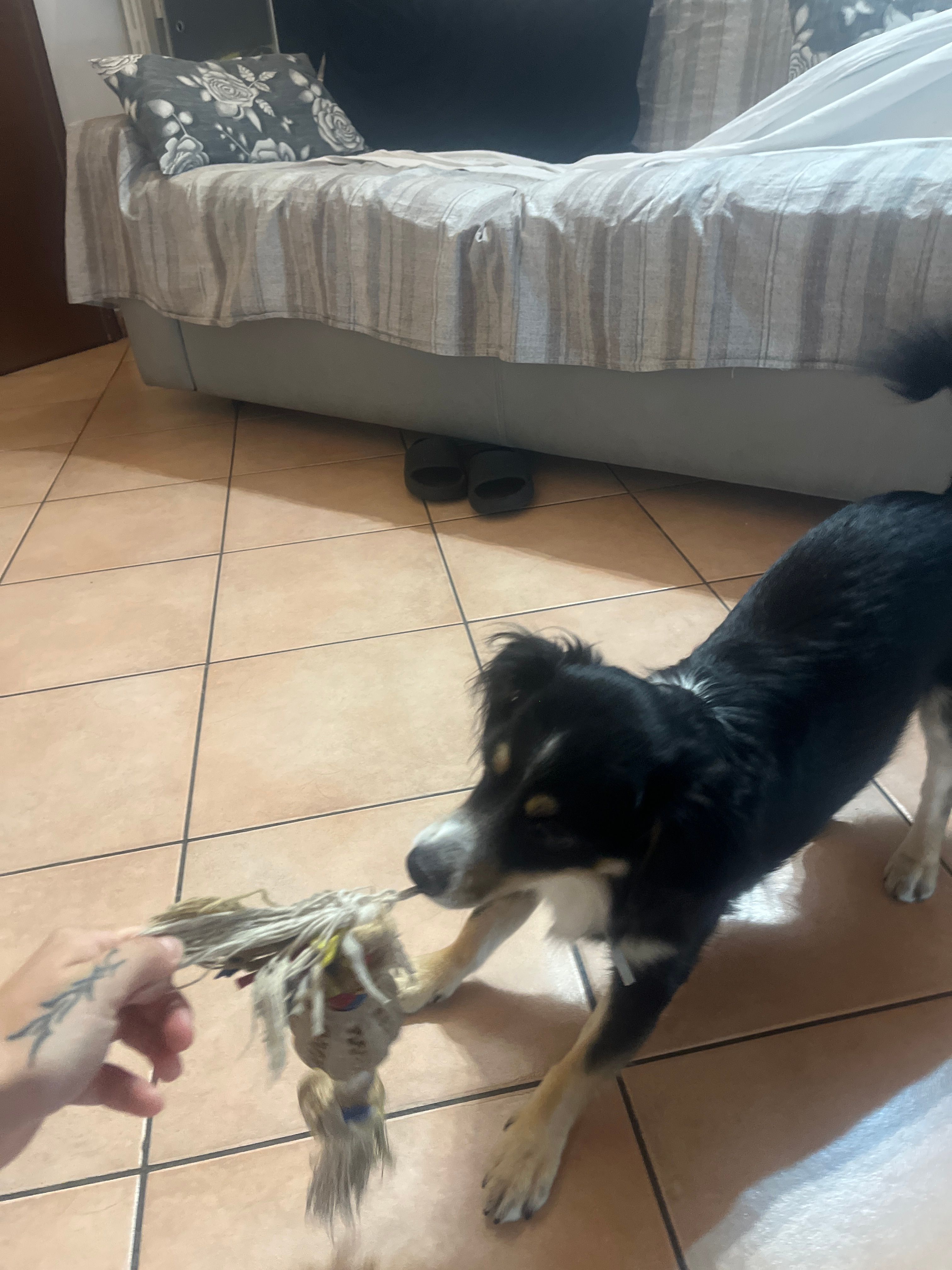 image-12
