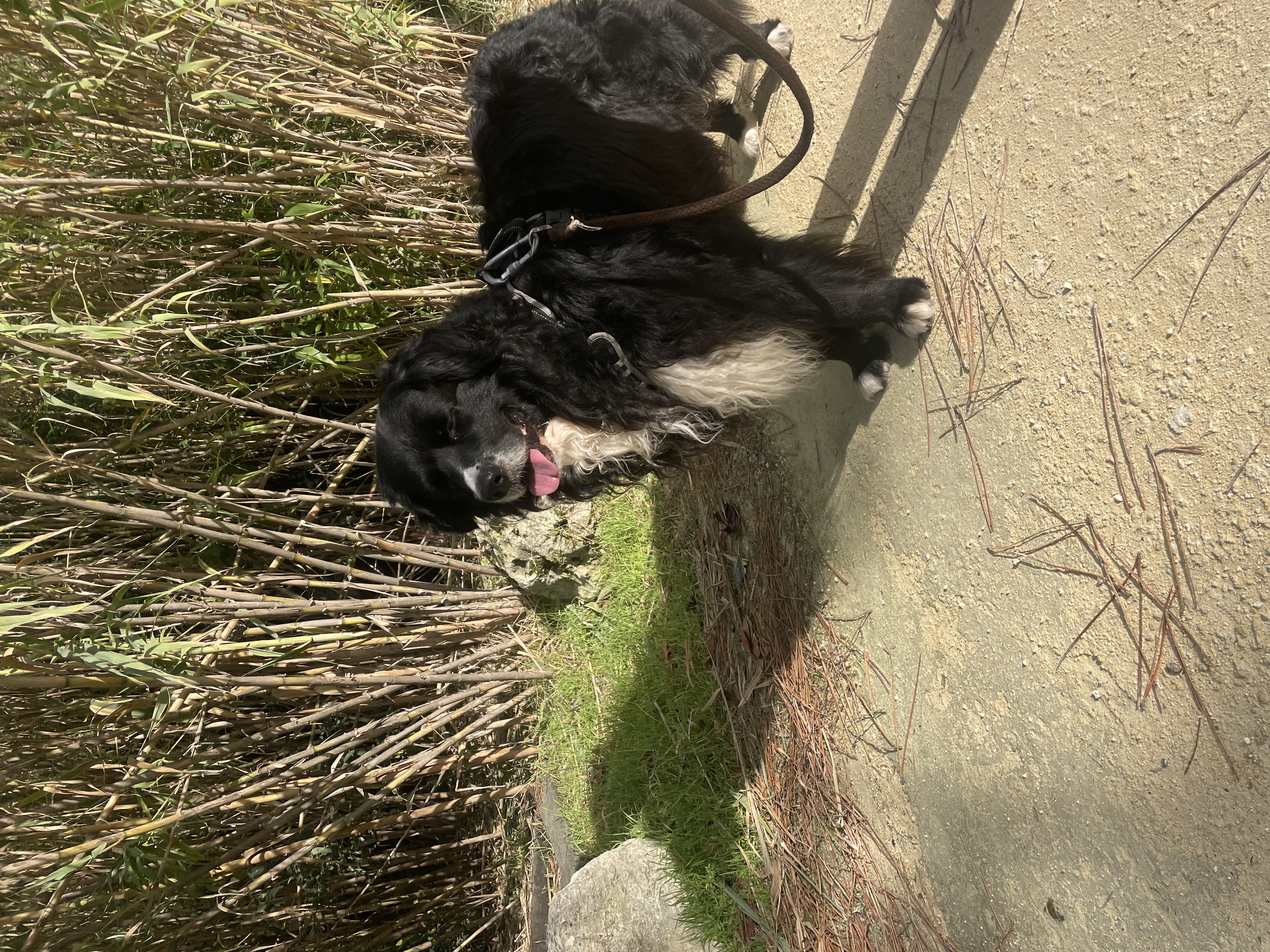 image-6