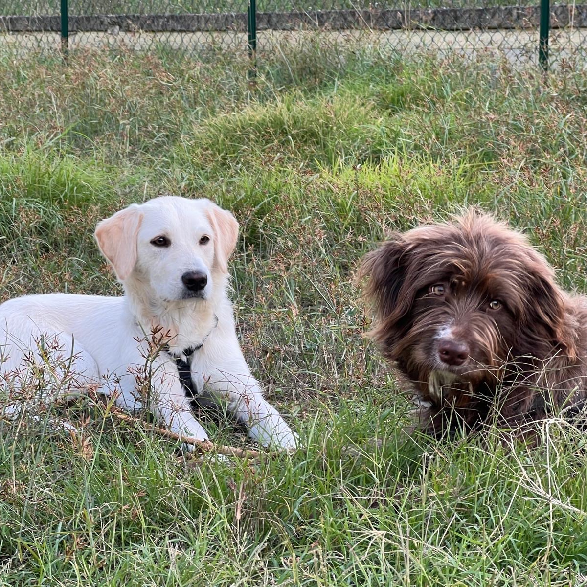 Nina e Paloma 