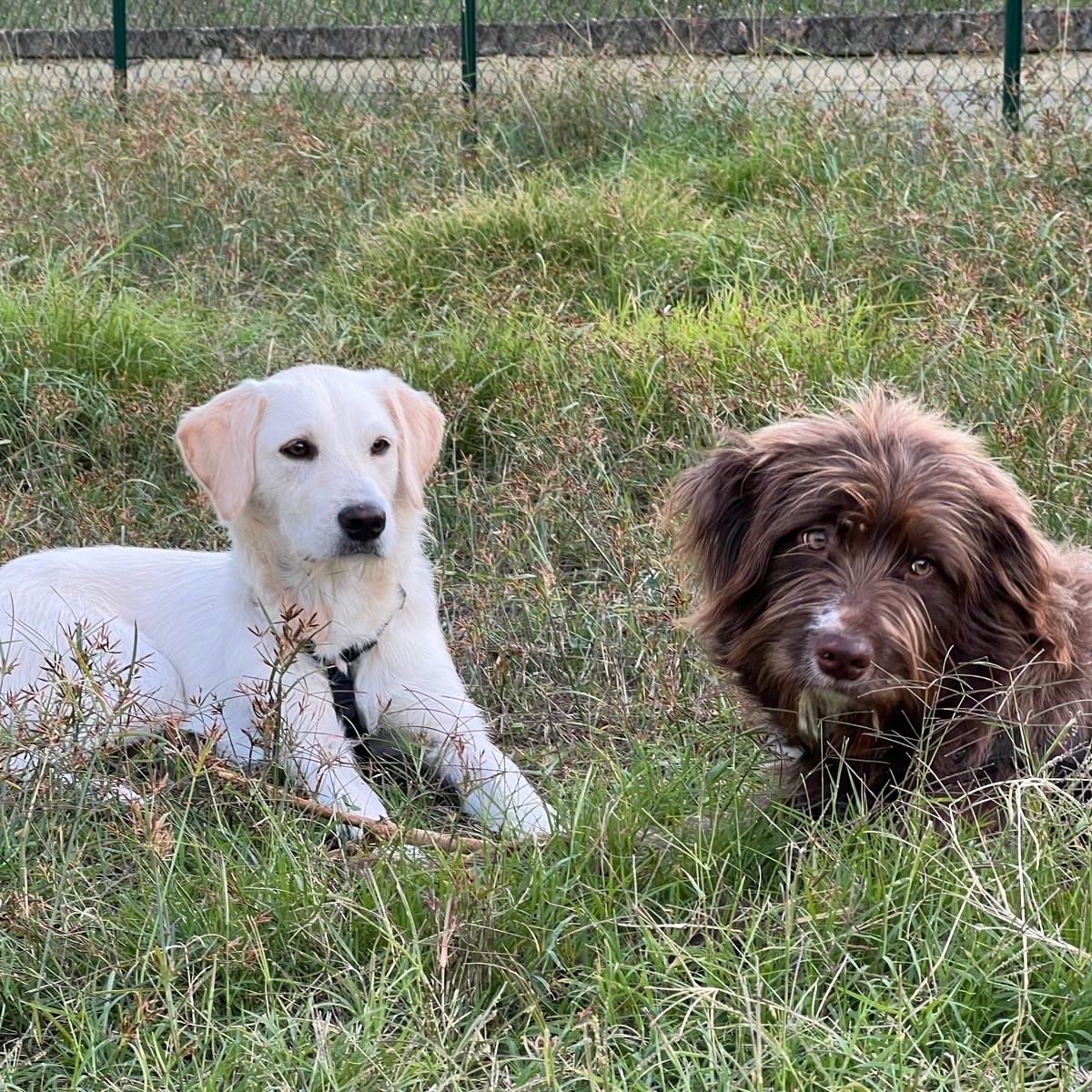 Nina e Paloma