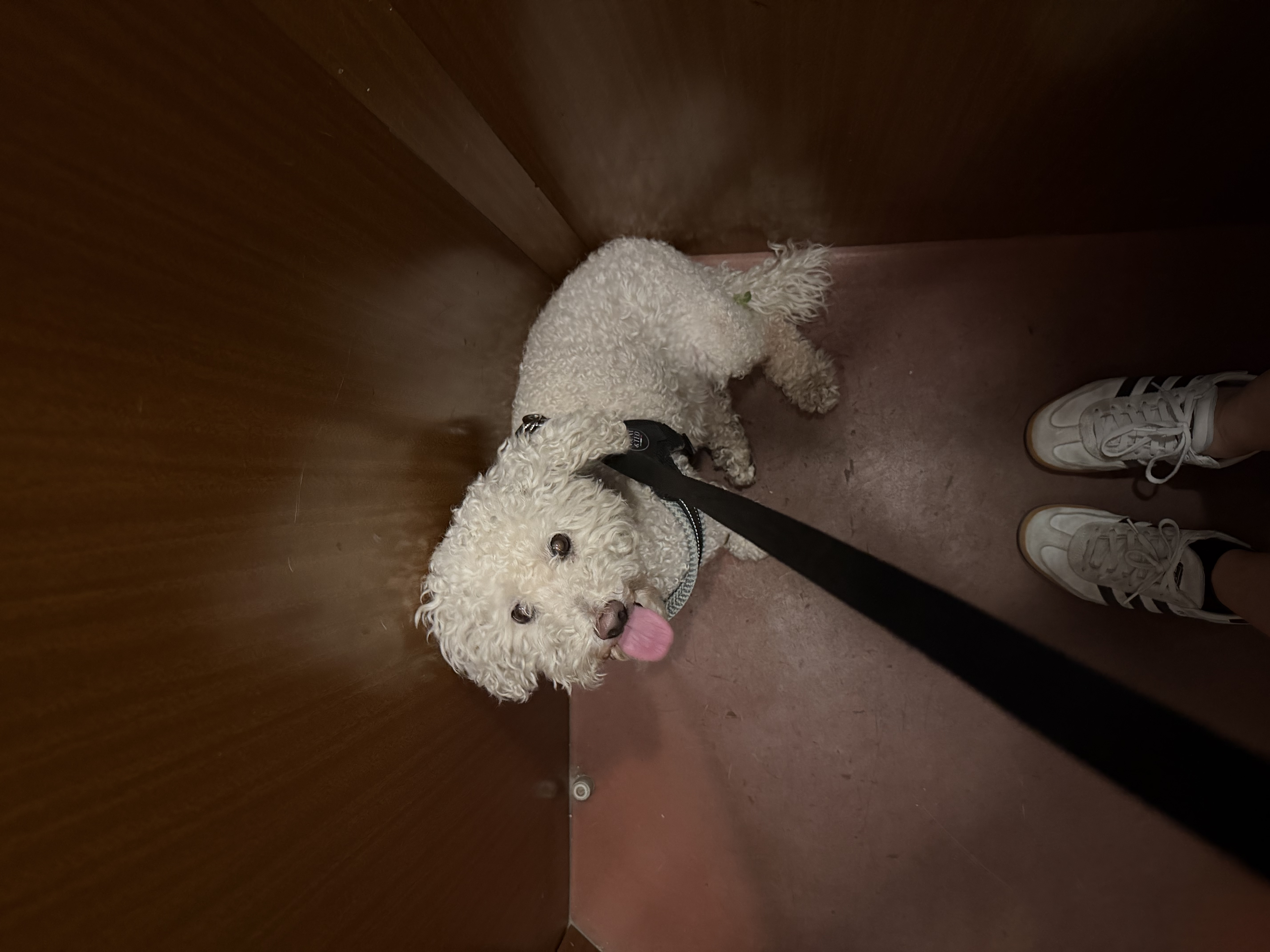 image-6