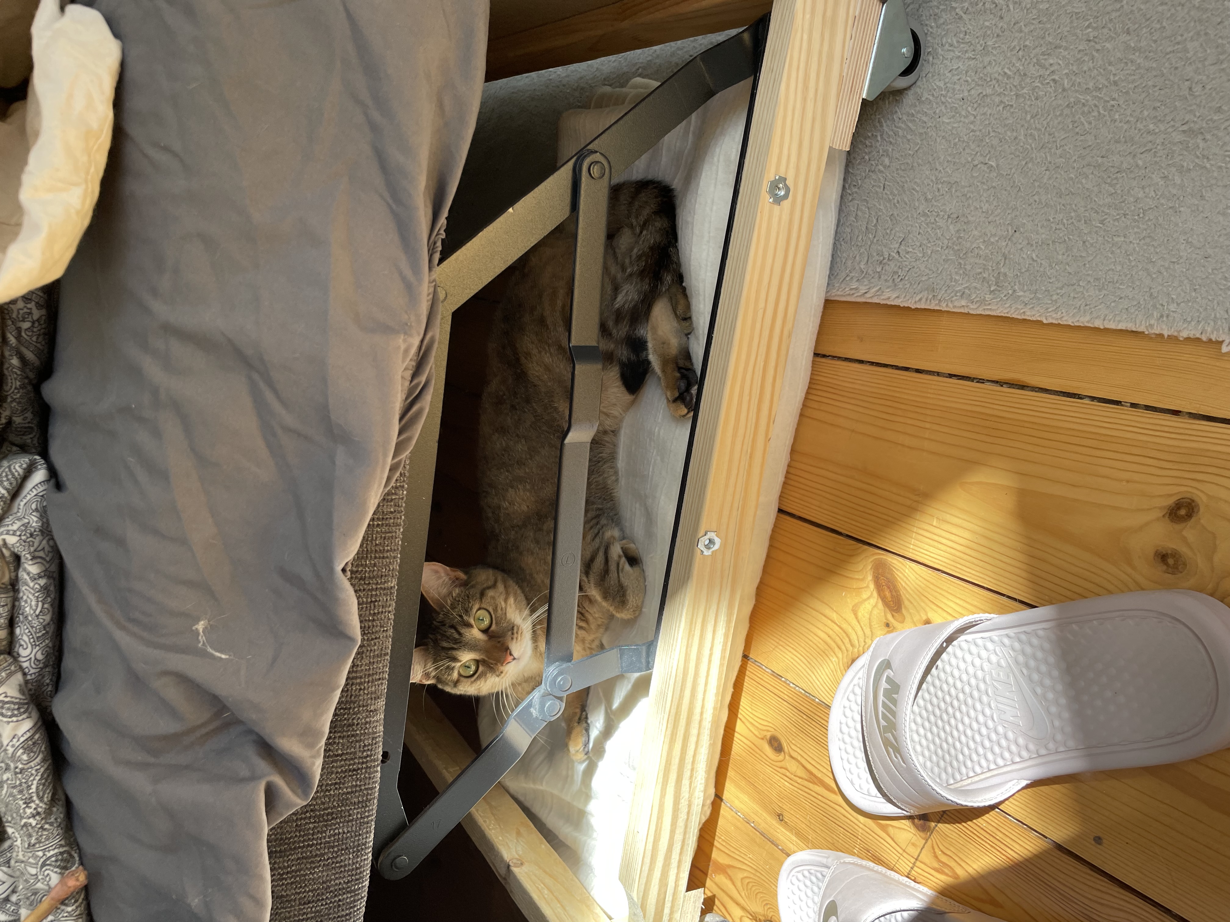 image-8
