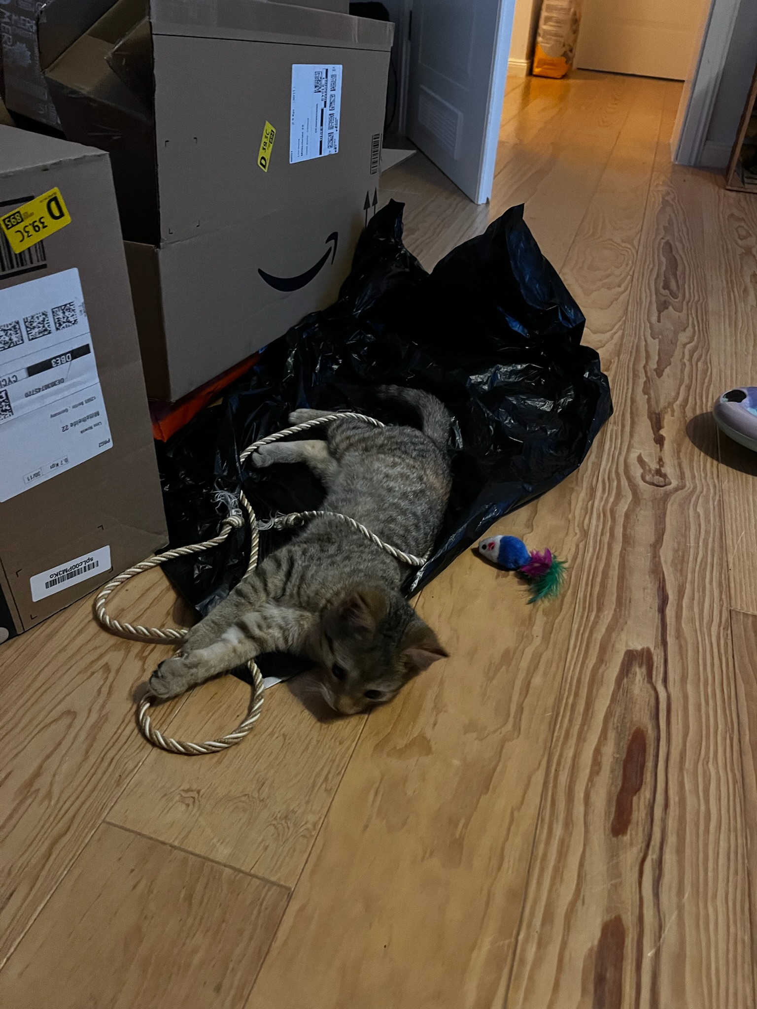 image-6