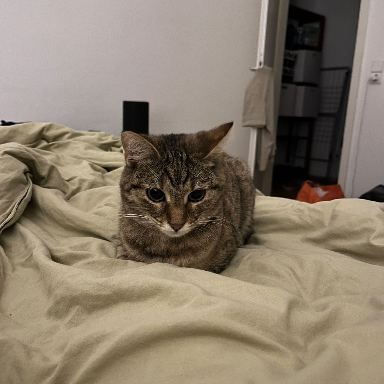 Emily
