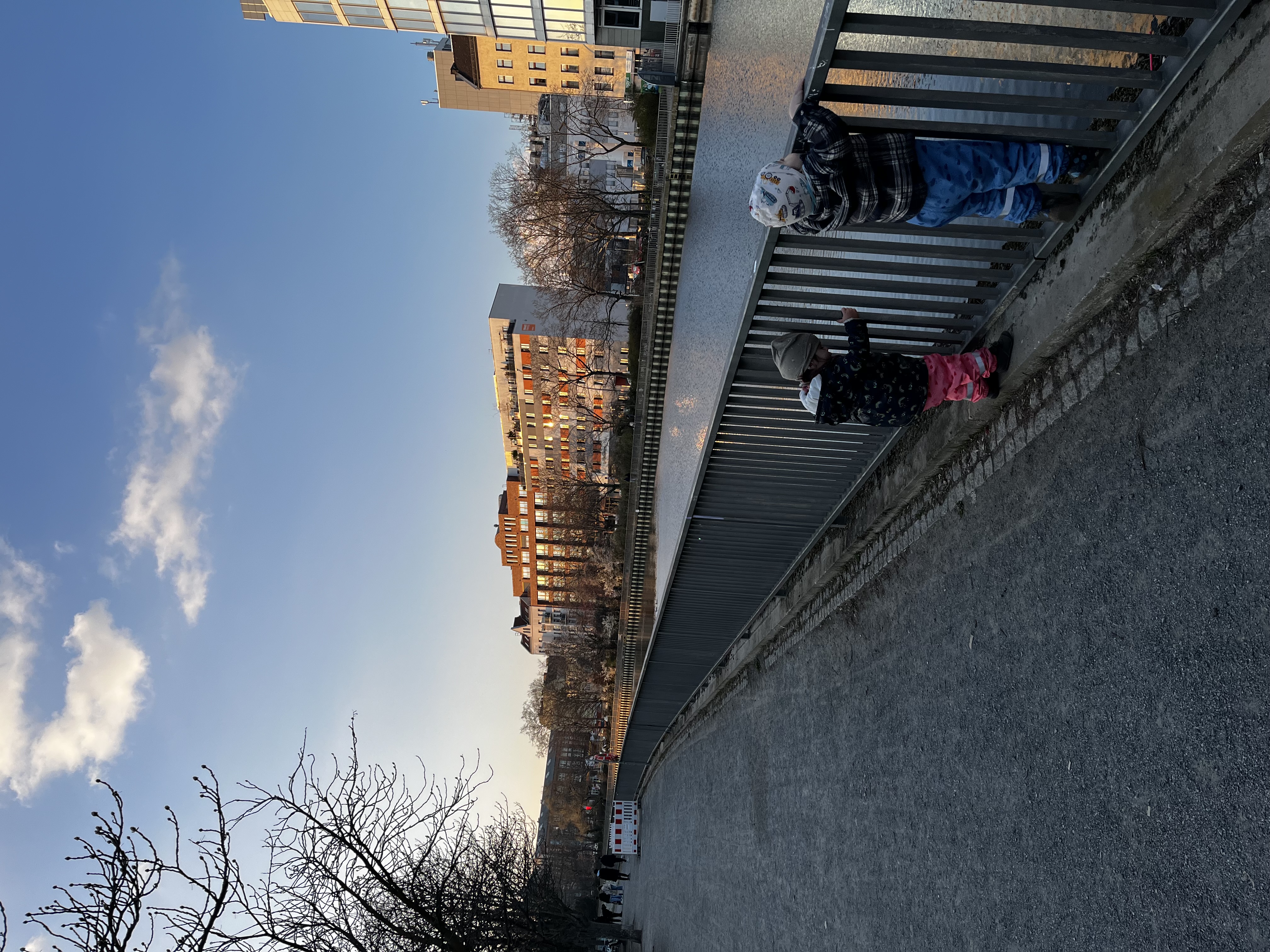 image-12