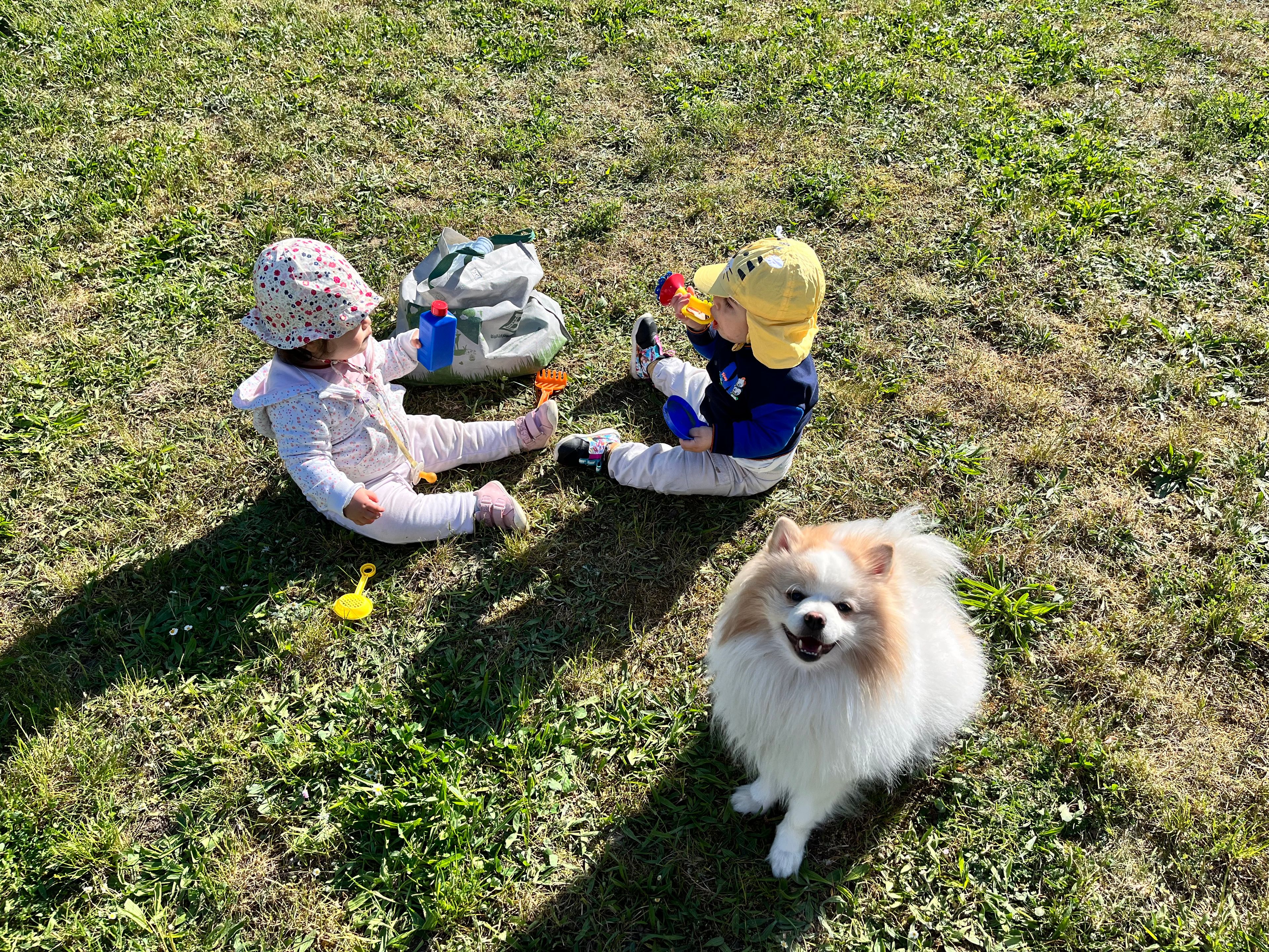 image-15
