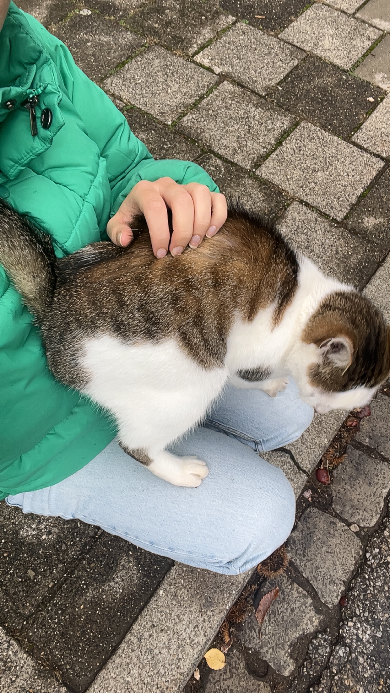 image-8
