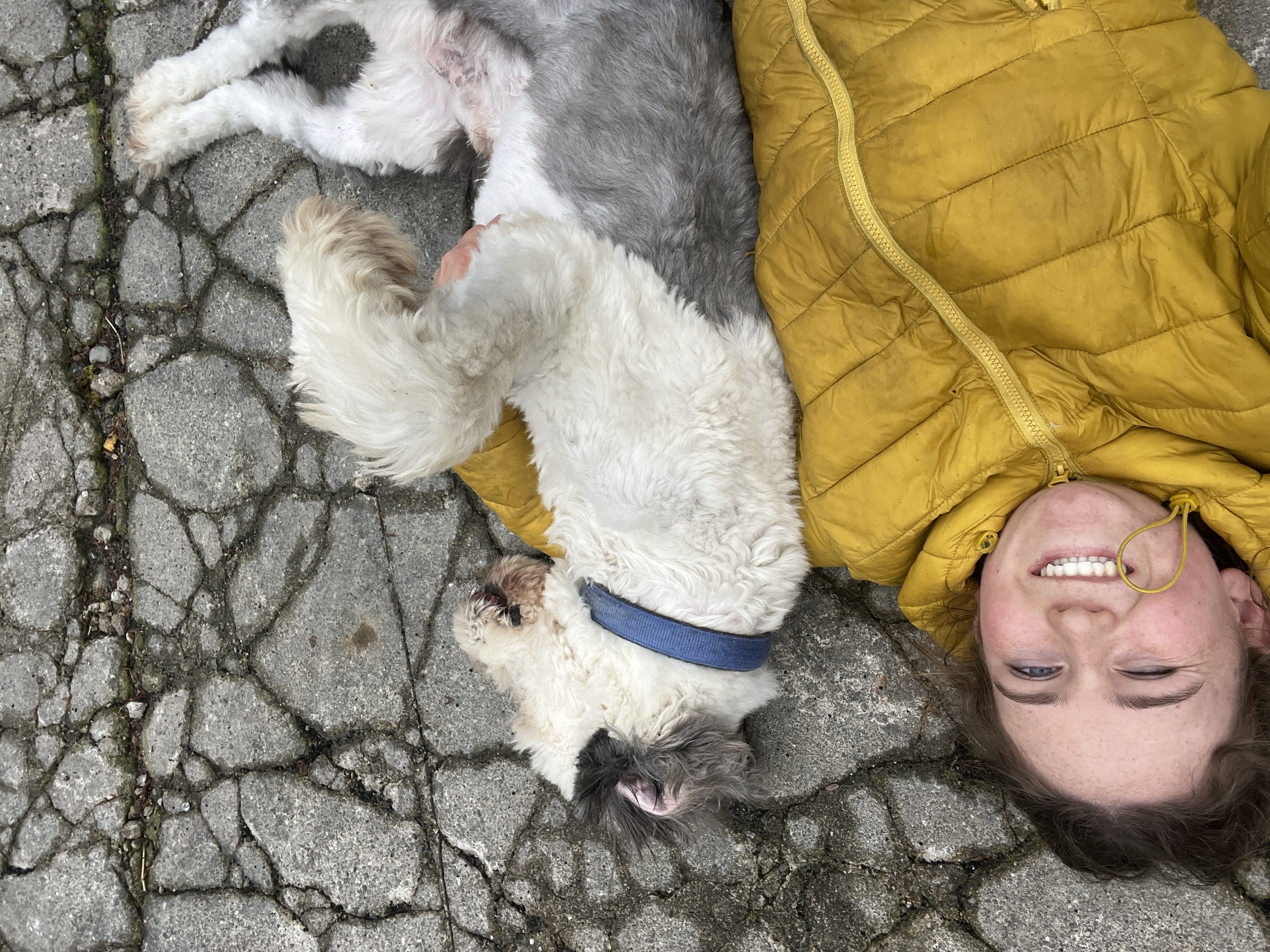 image-8