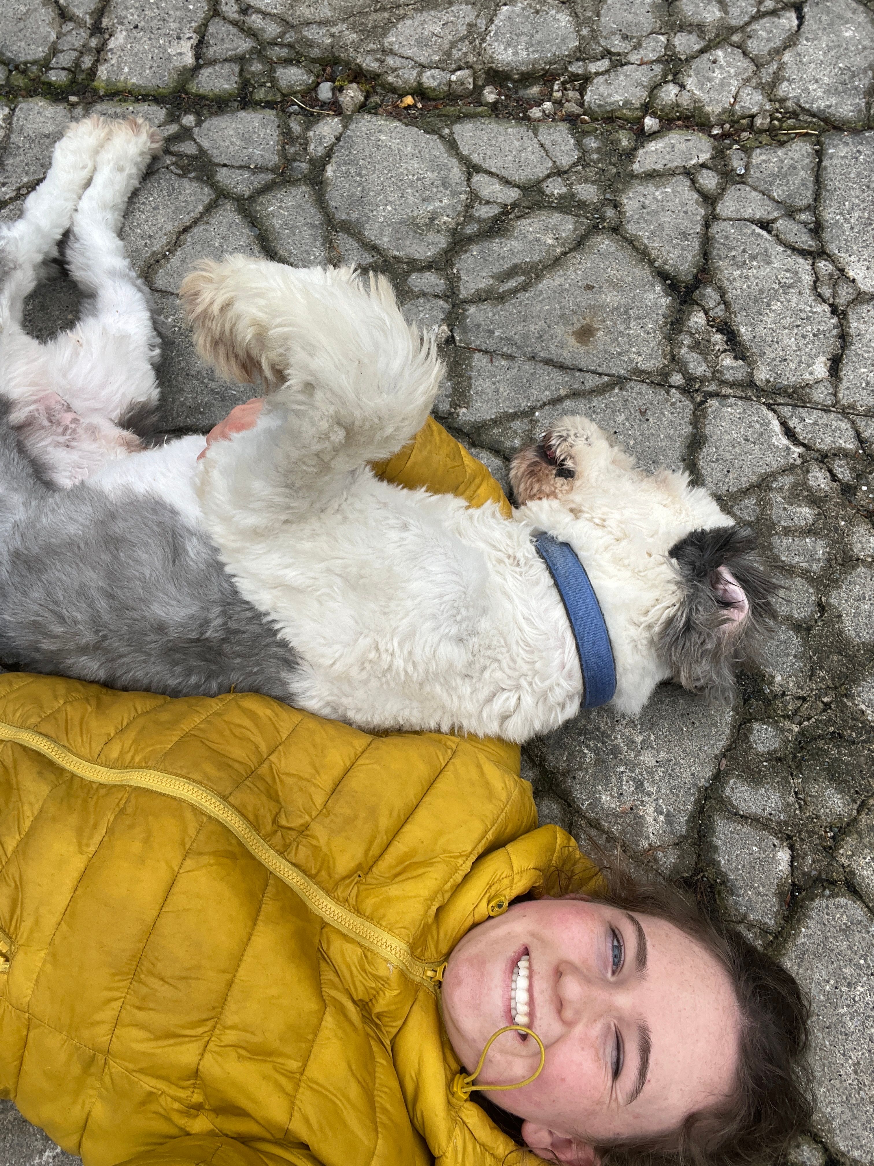 image-8