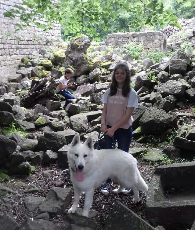 image-9