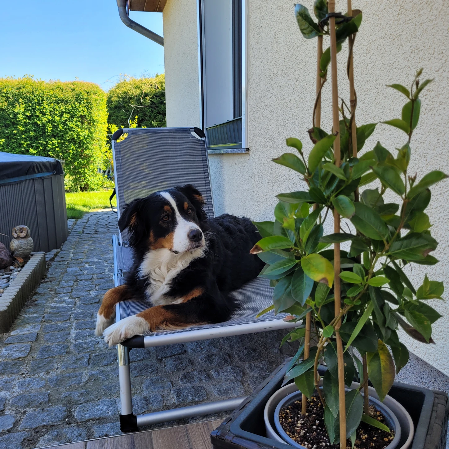 image-15