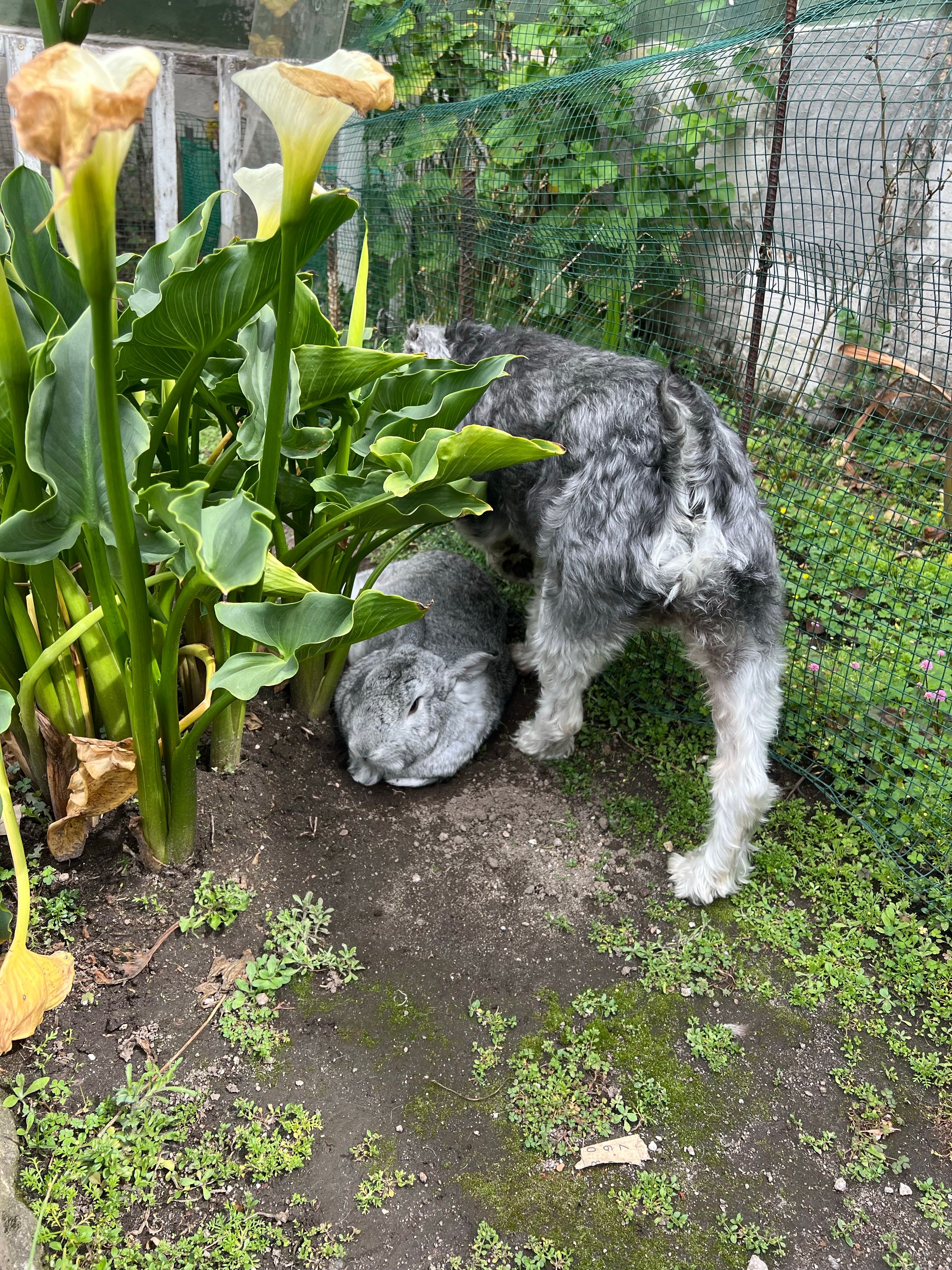 image-7