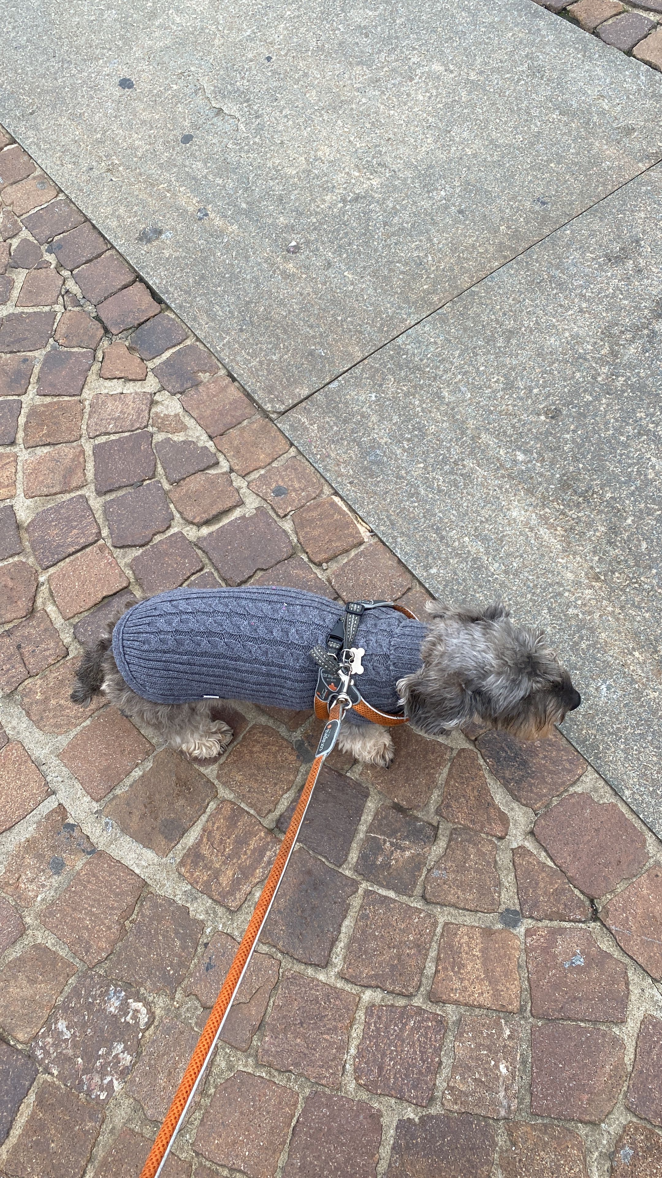 image-18