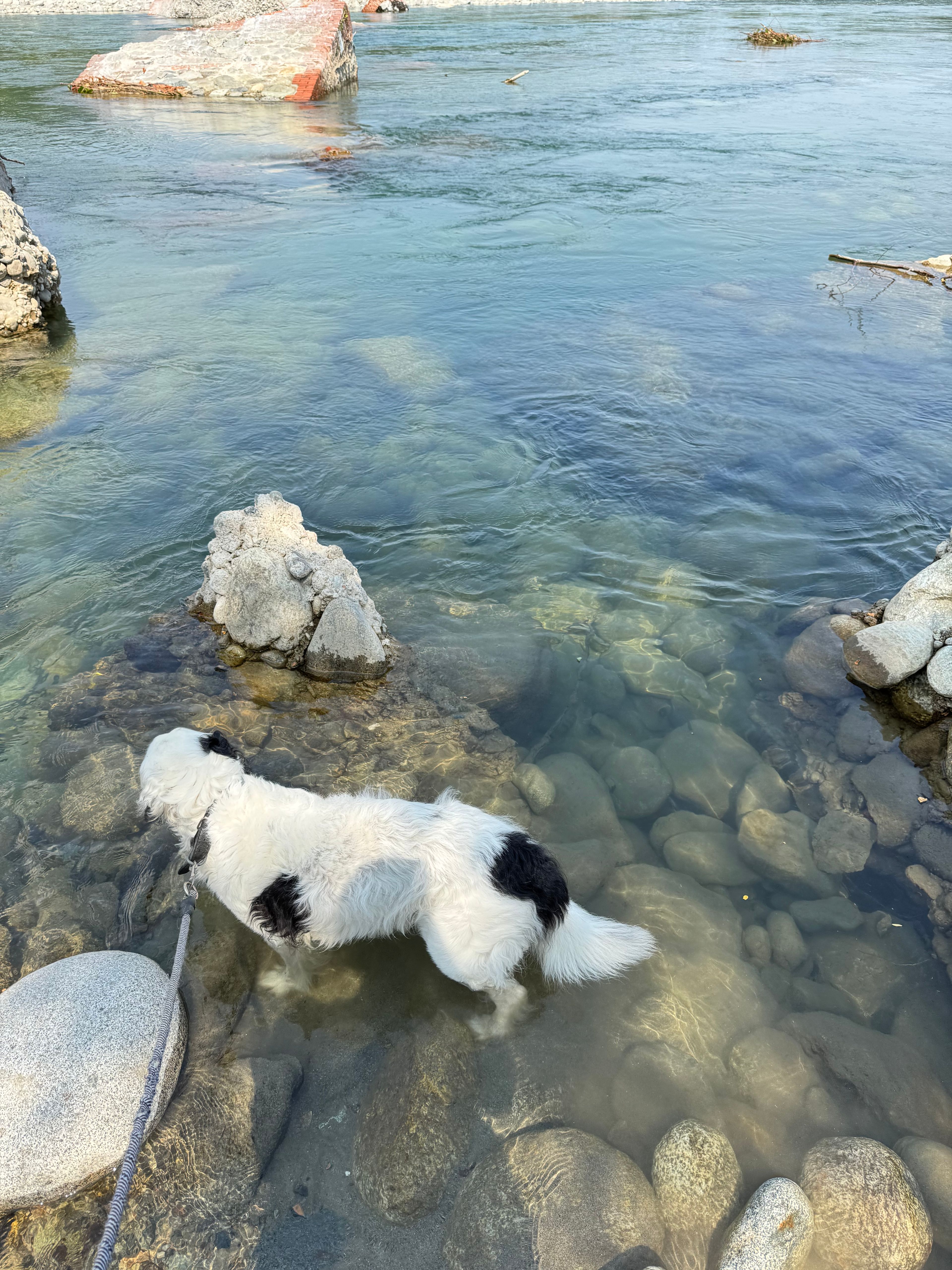 image-10