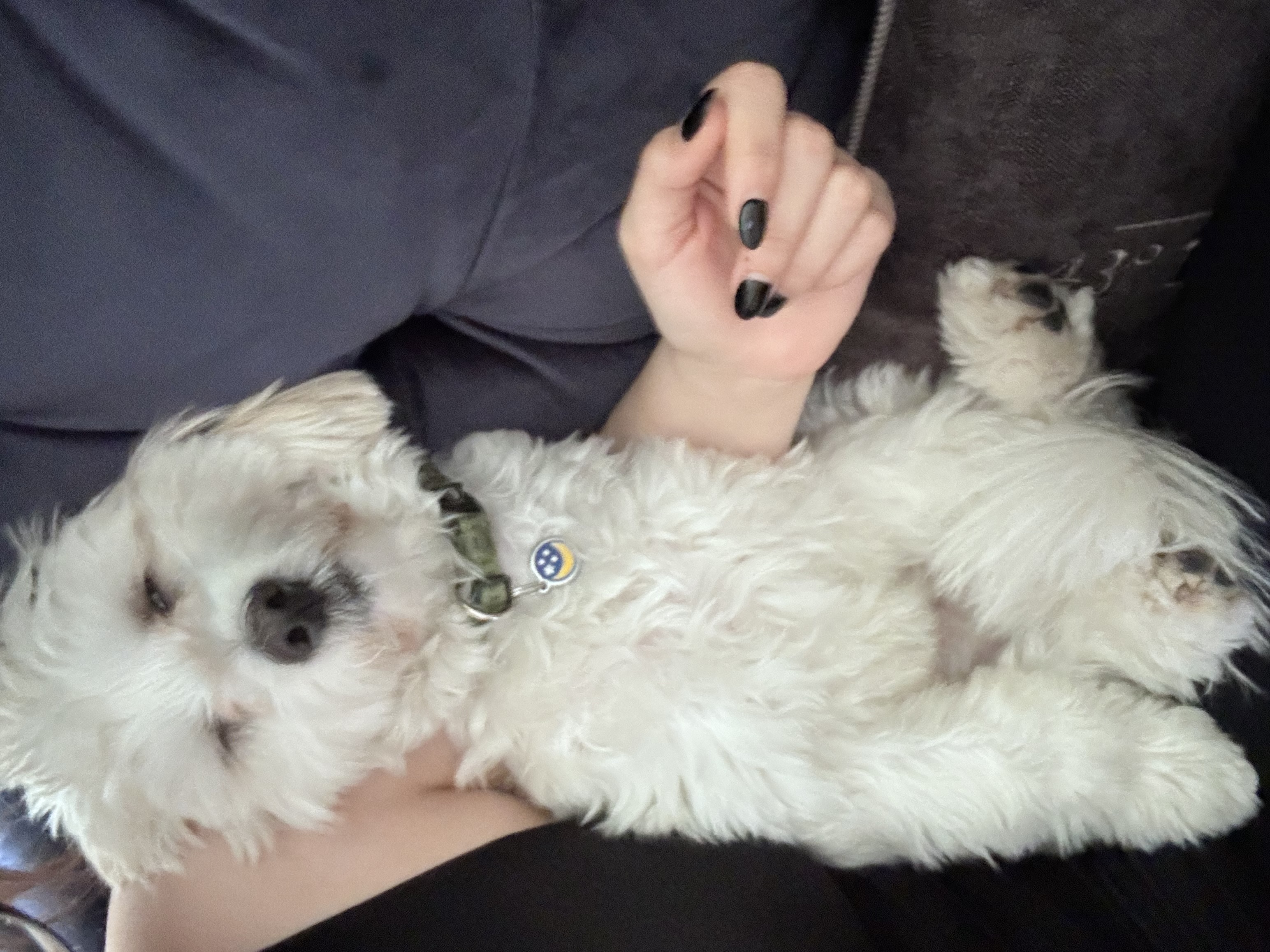 image-7