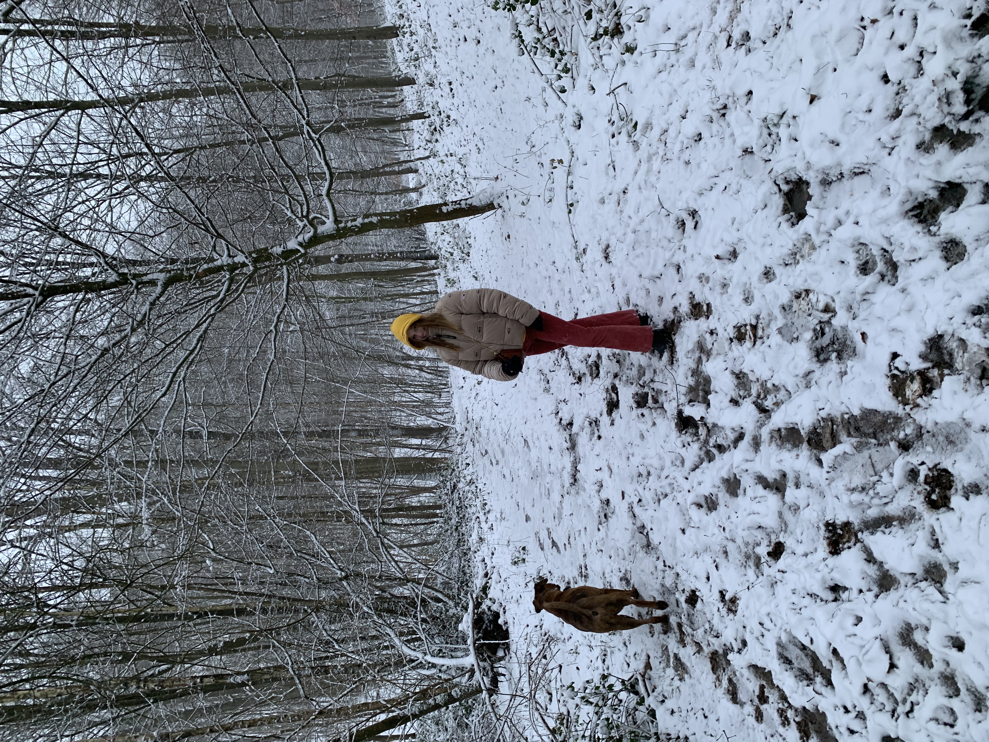 image-3