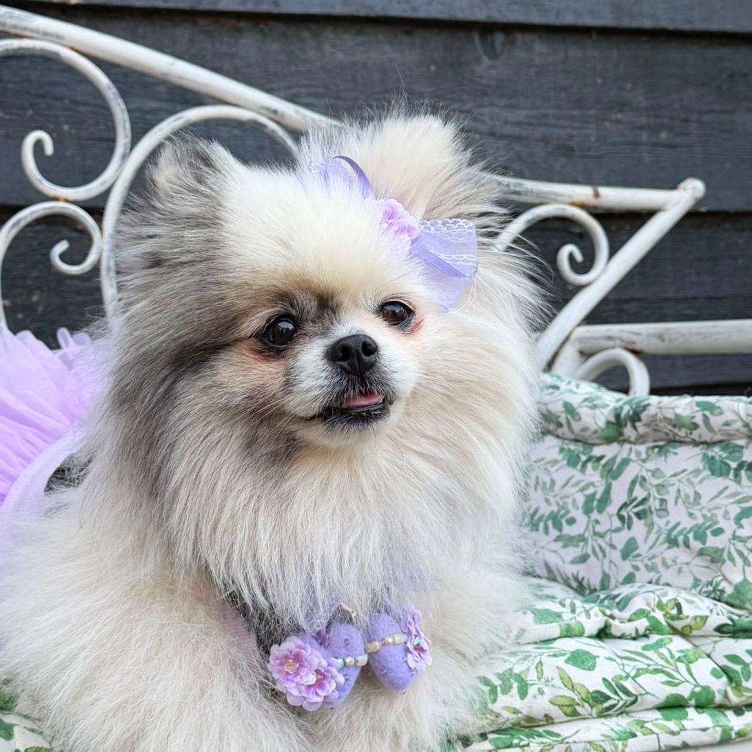 Myrtle
