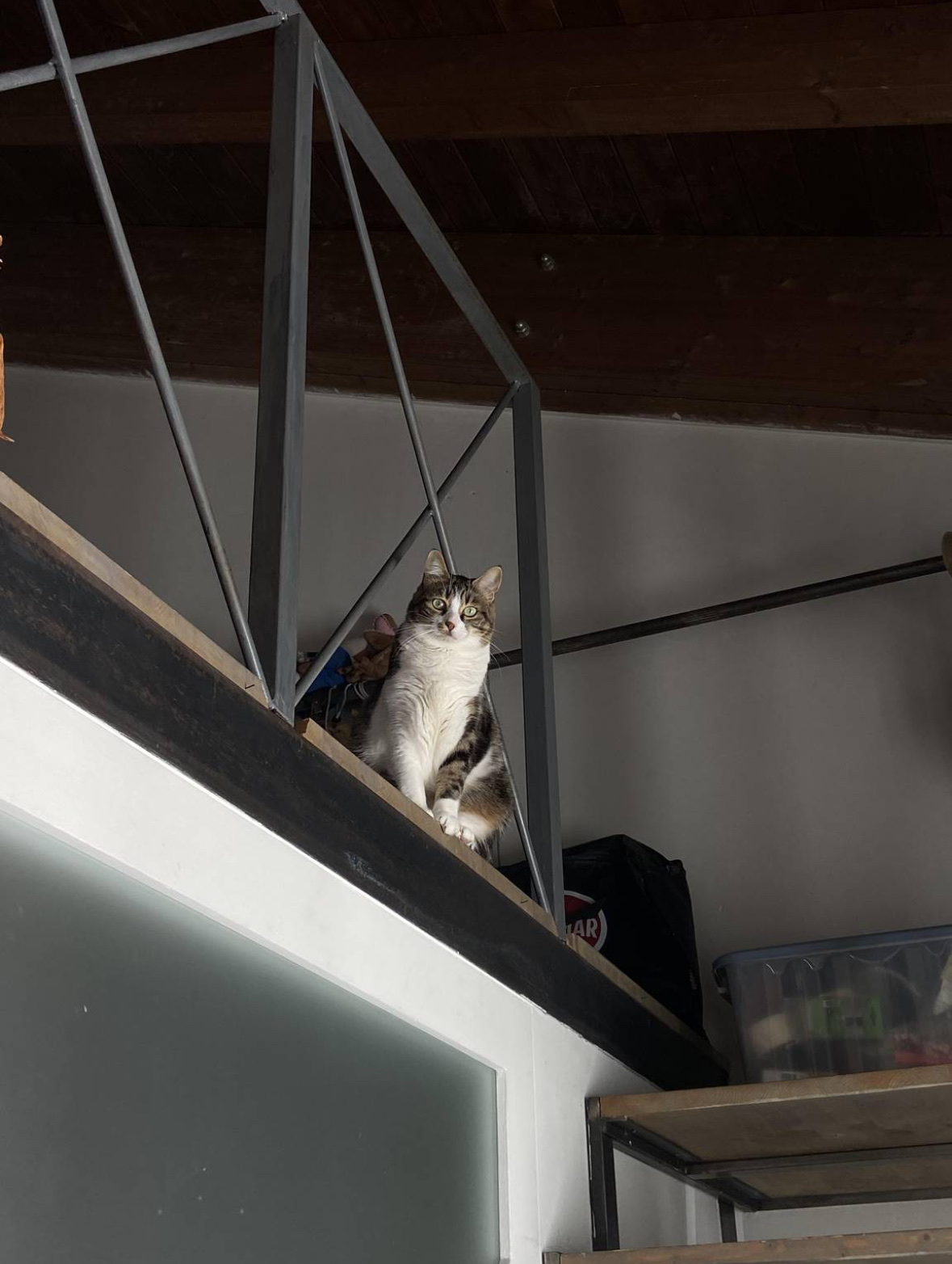 image-9