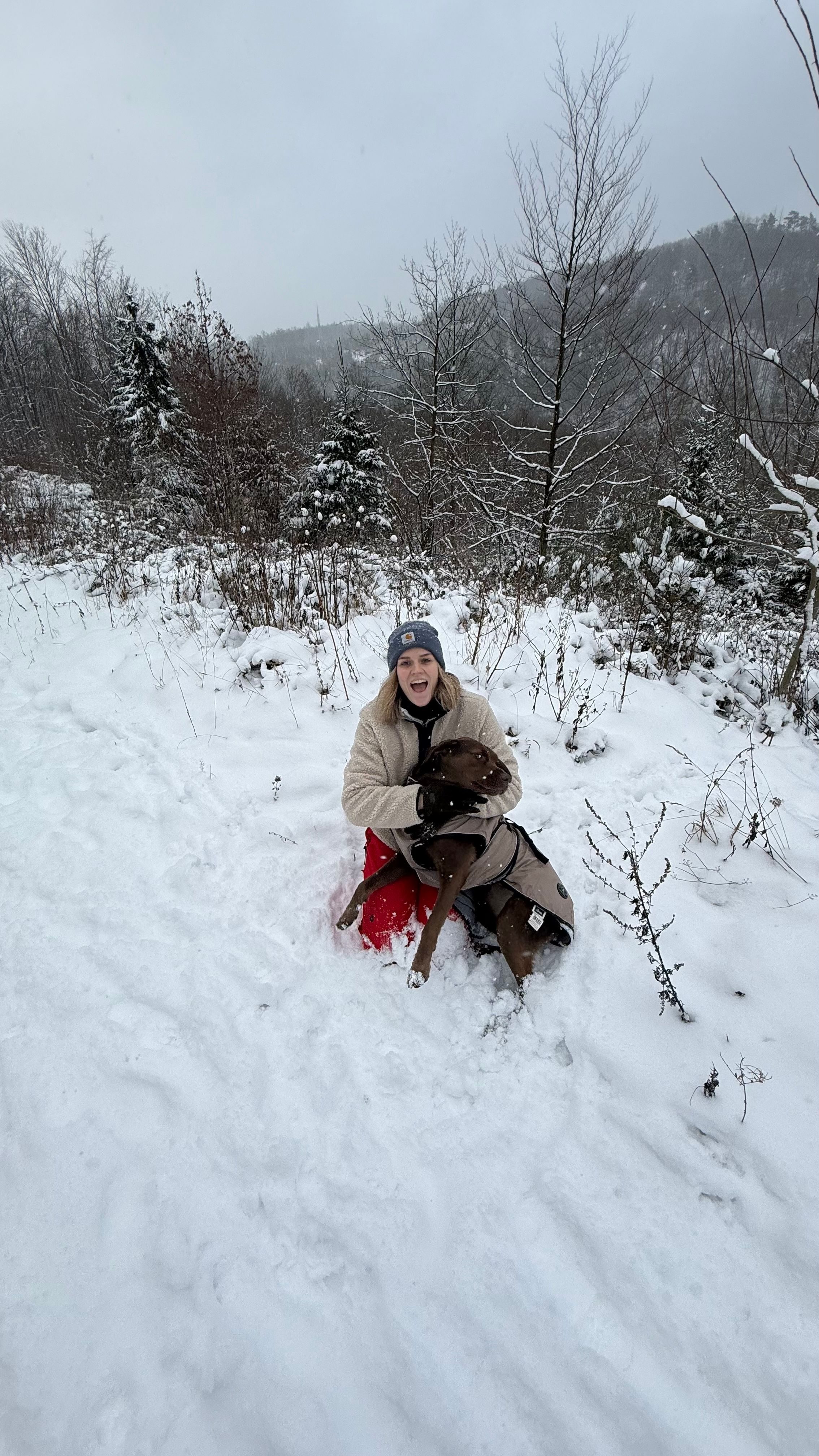 image-8
