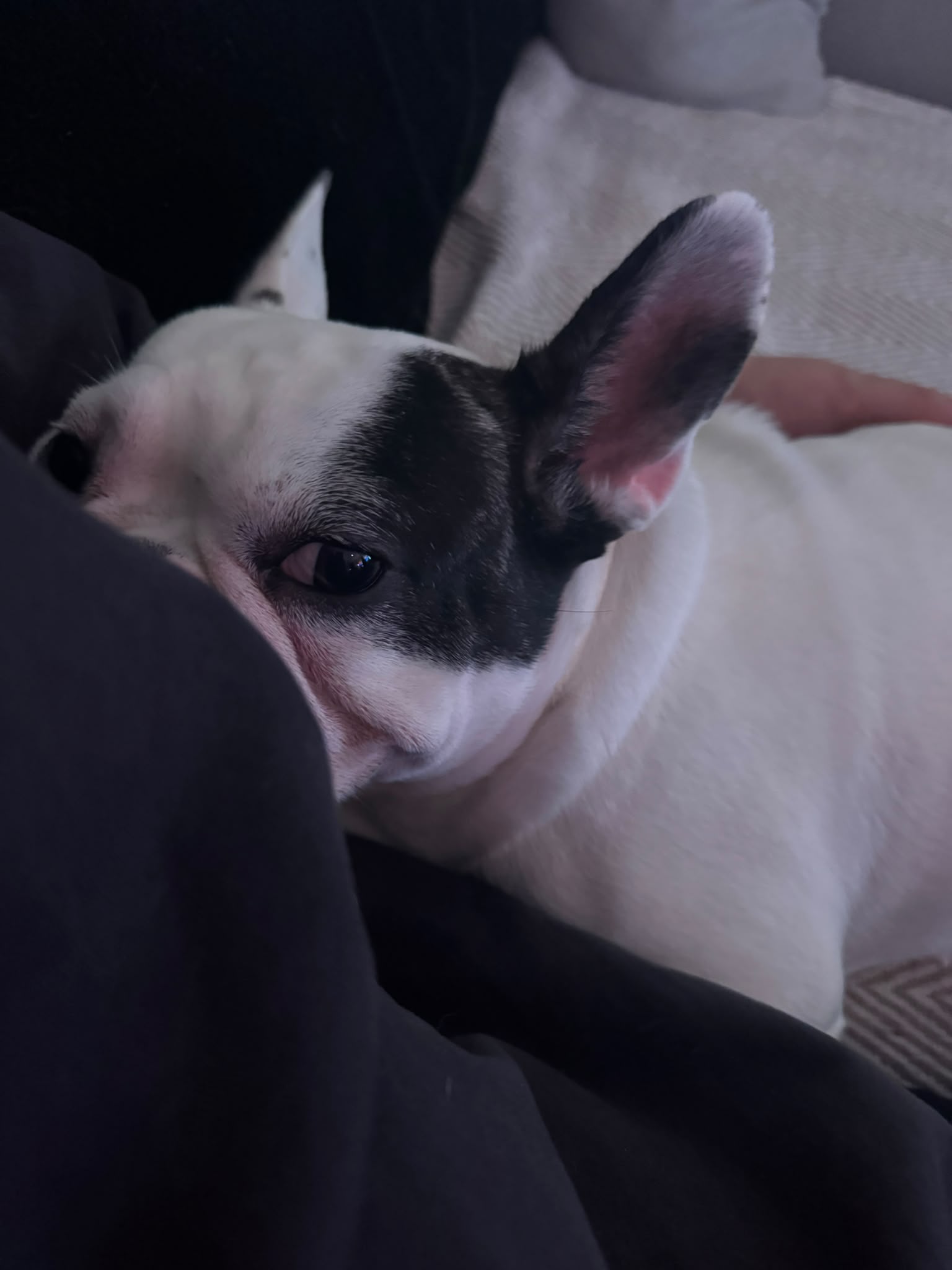 image-6