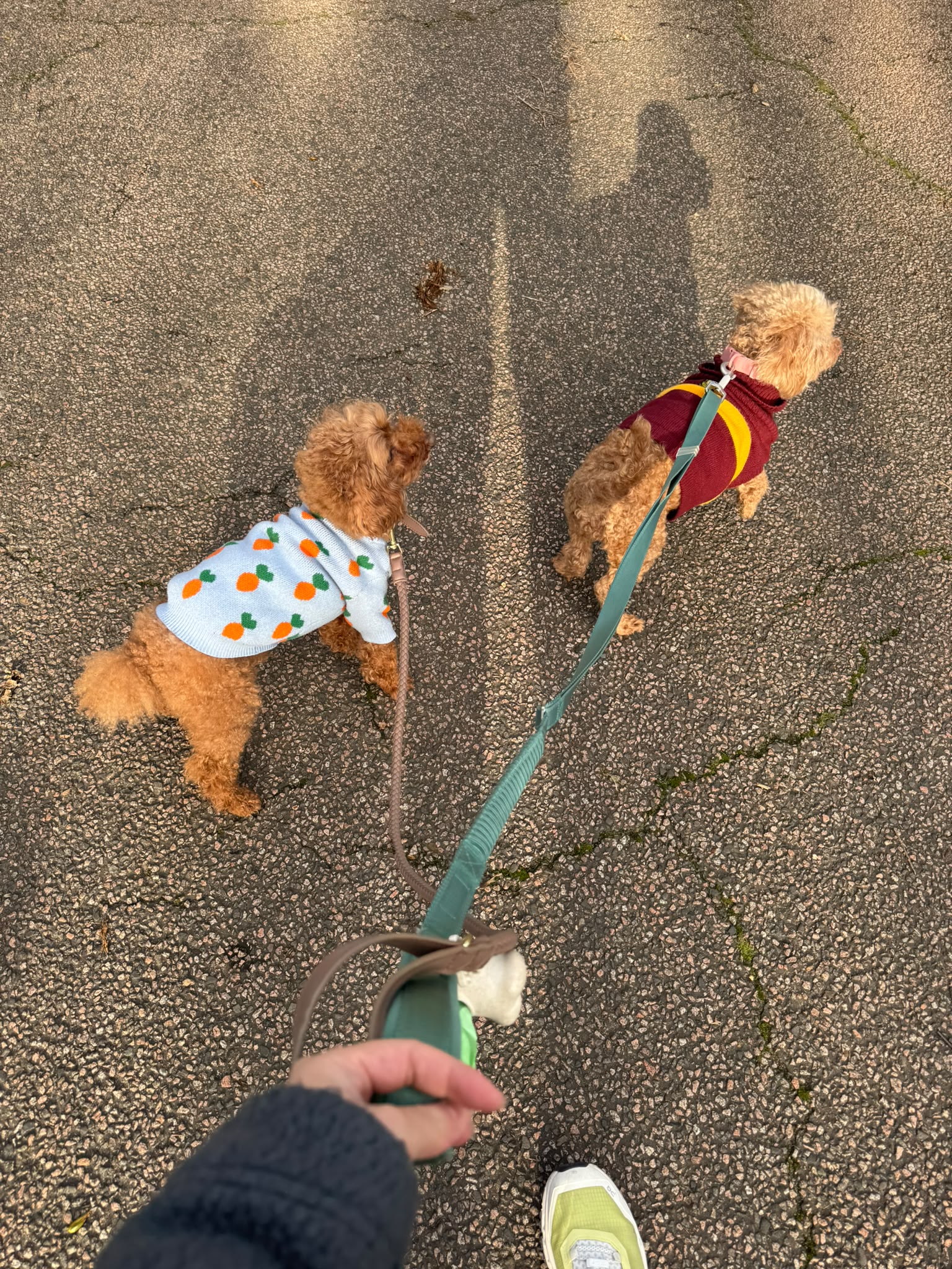 image-9