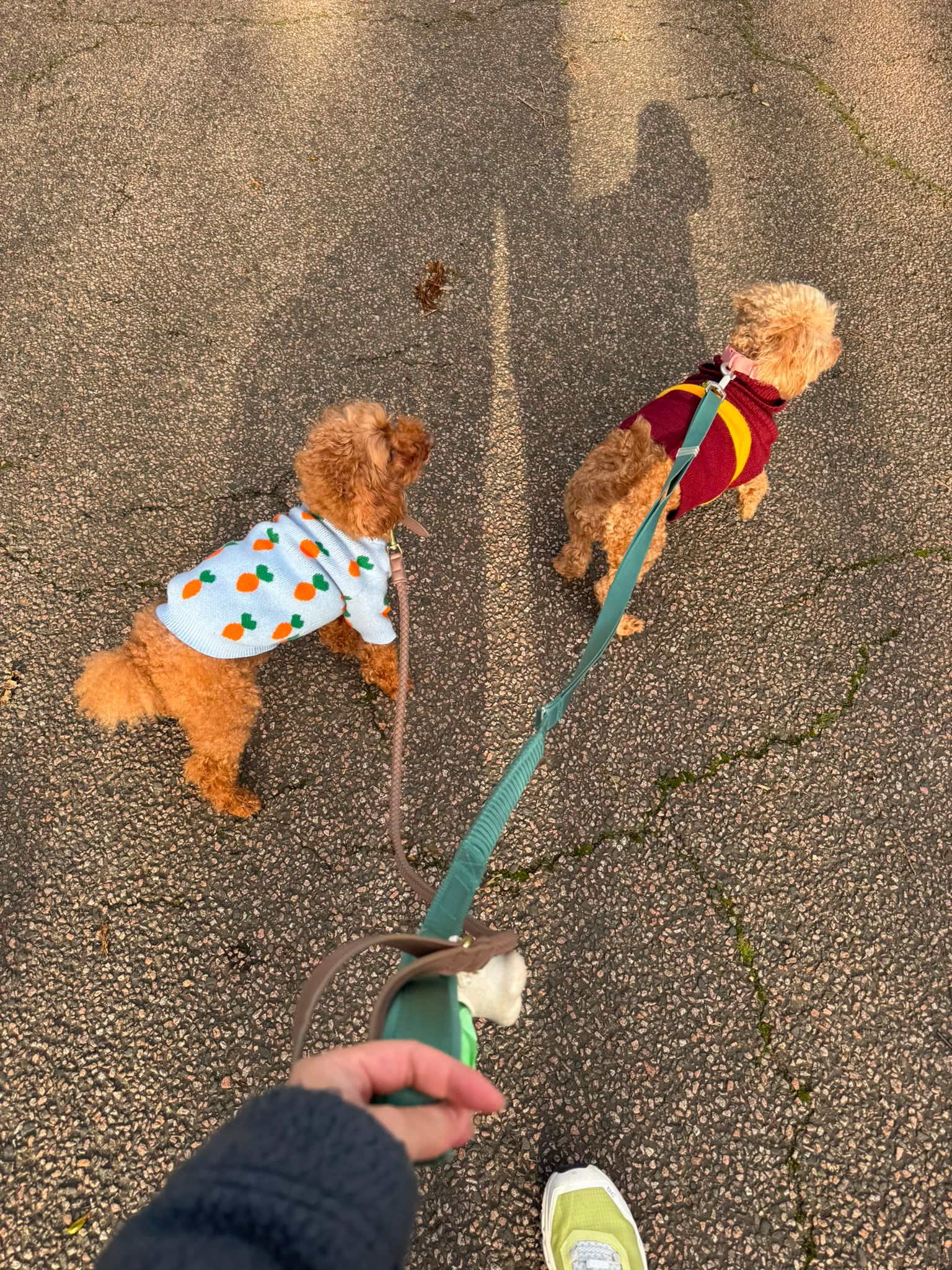image-9