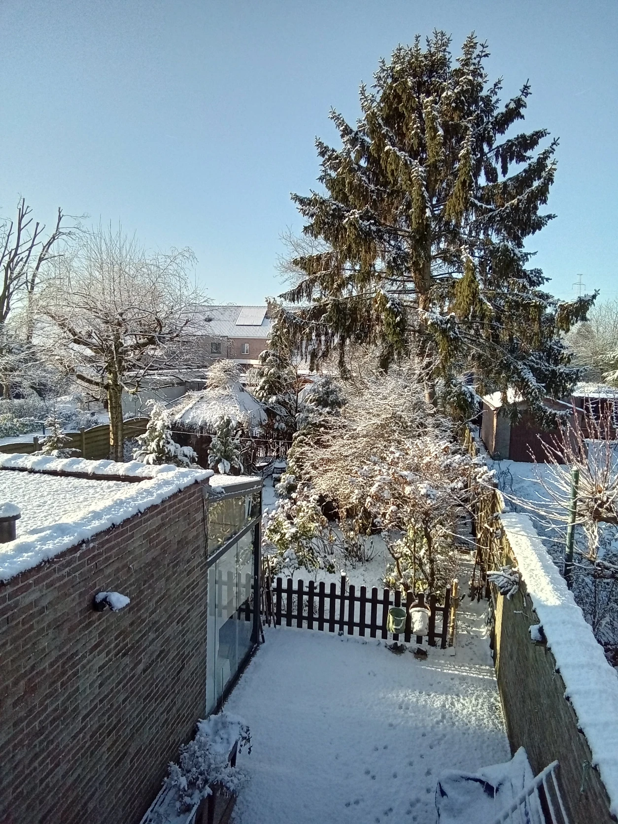 image-9