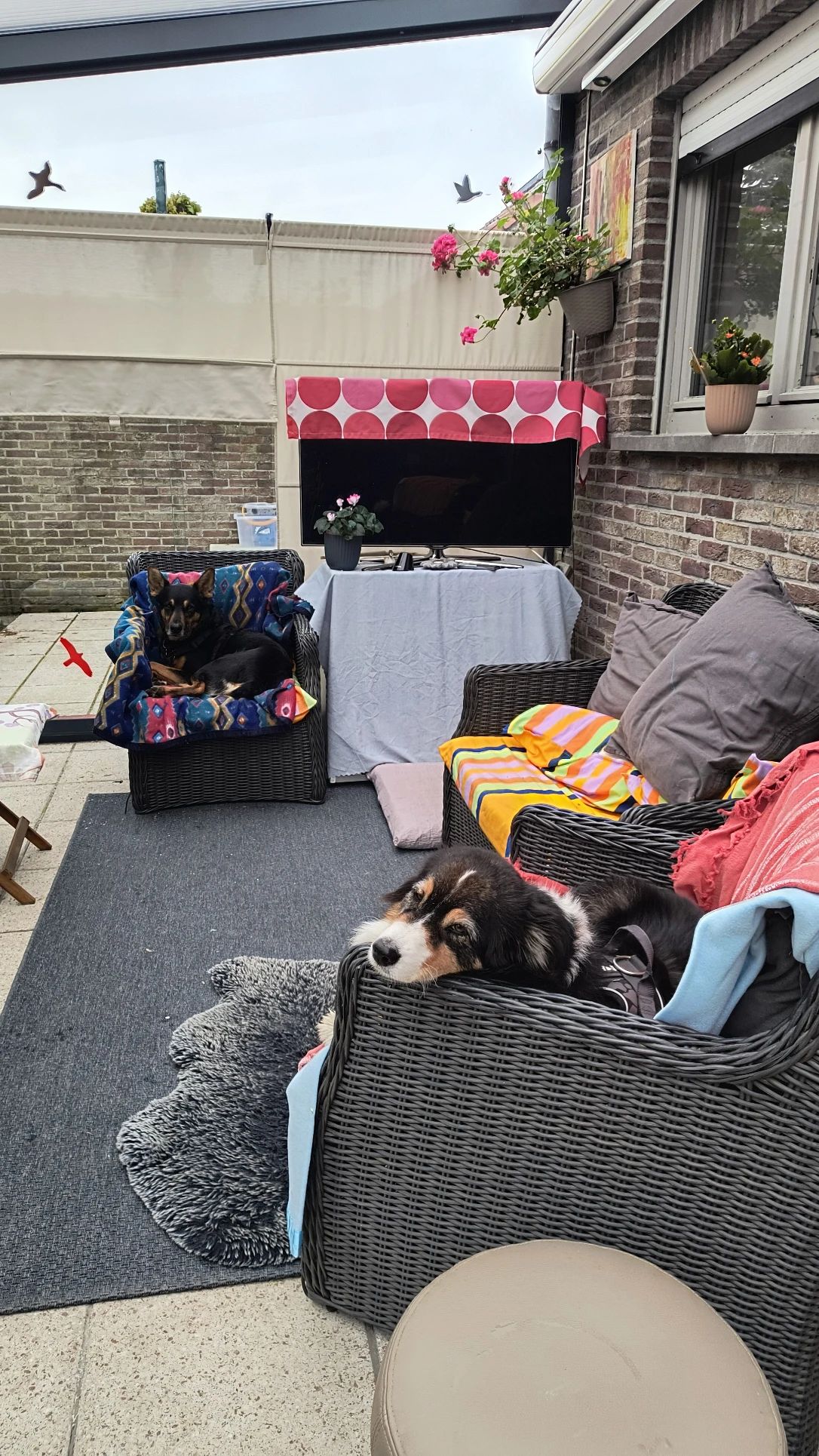 image-8