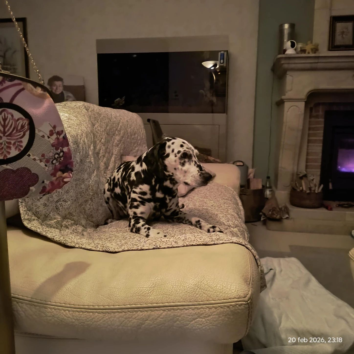 image-18