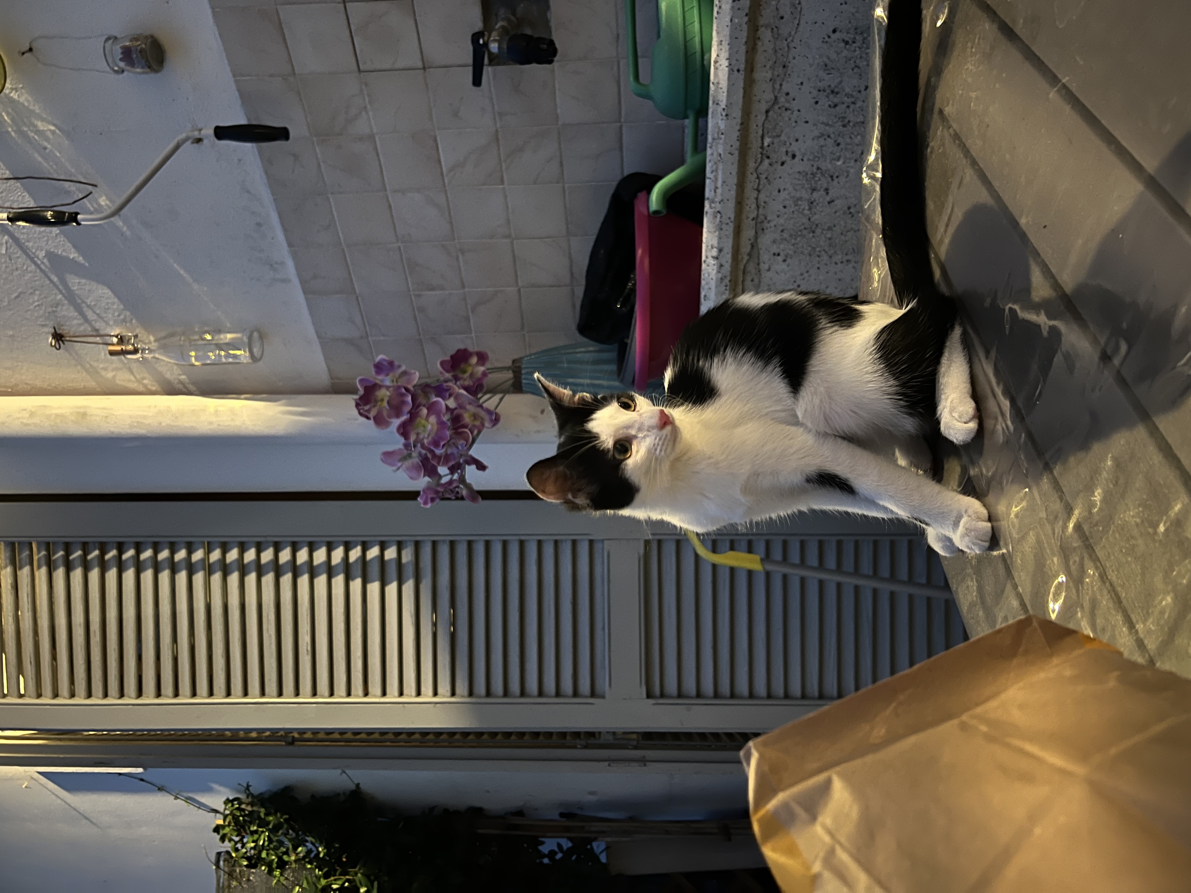 image-5