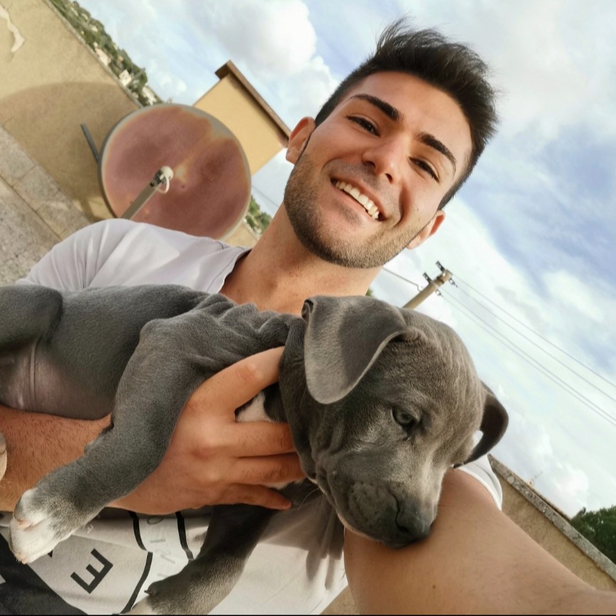 Vincenzo