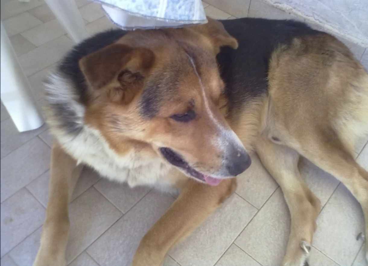 image-8