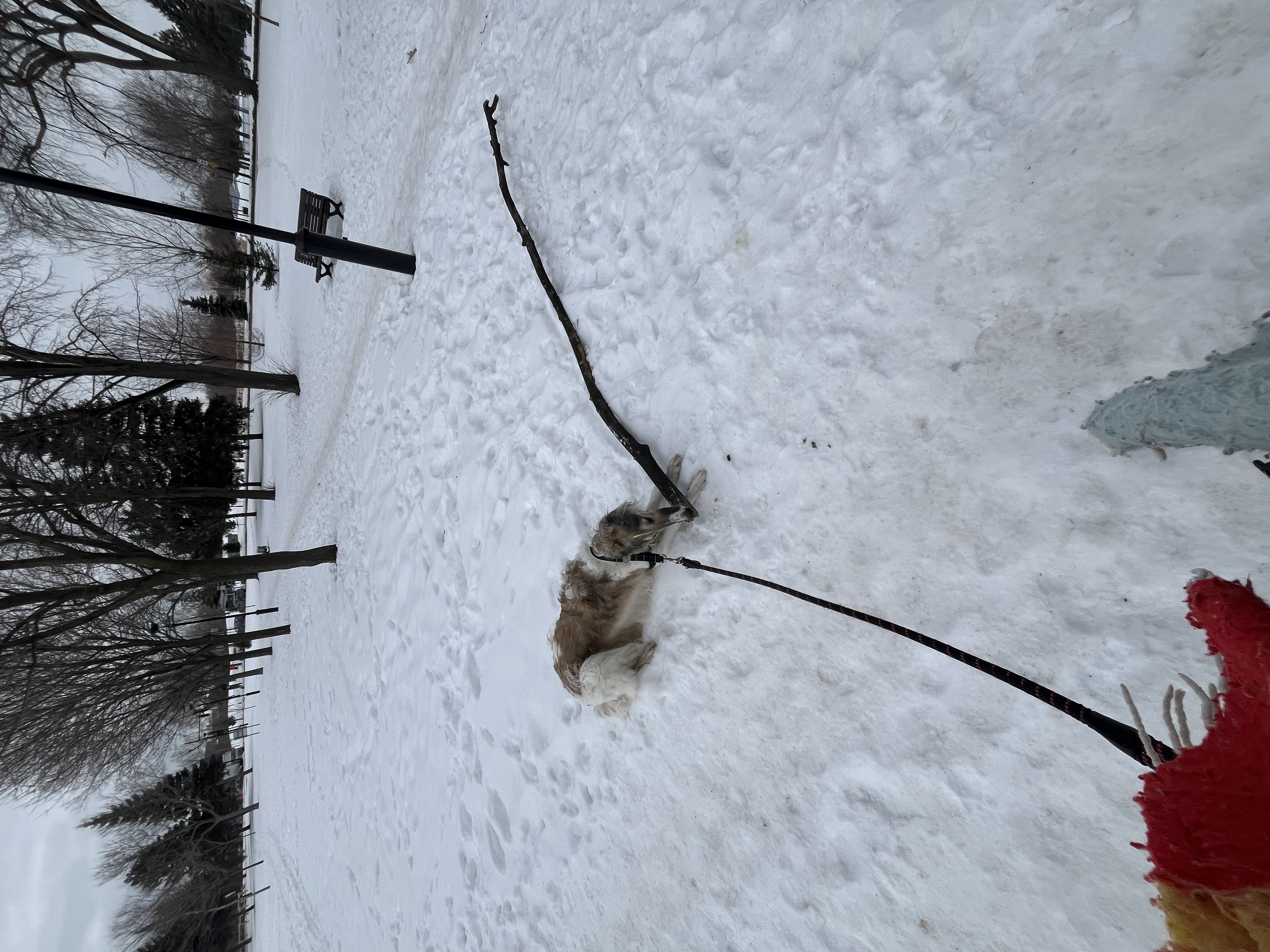 image-6