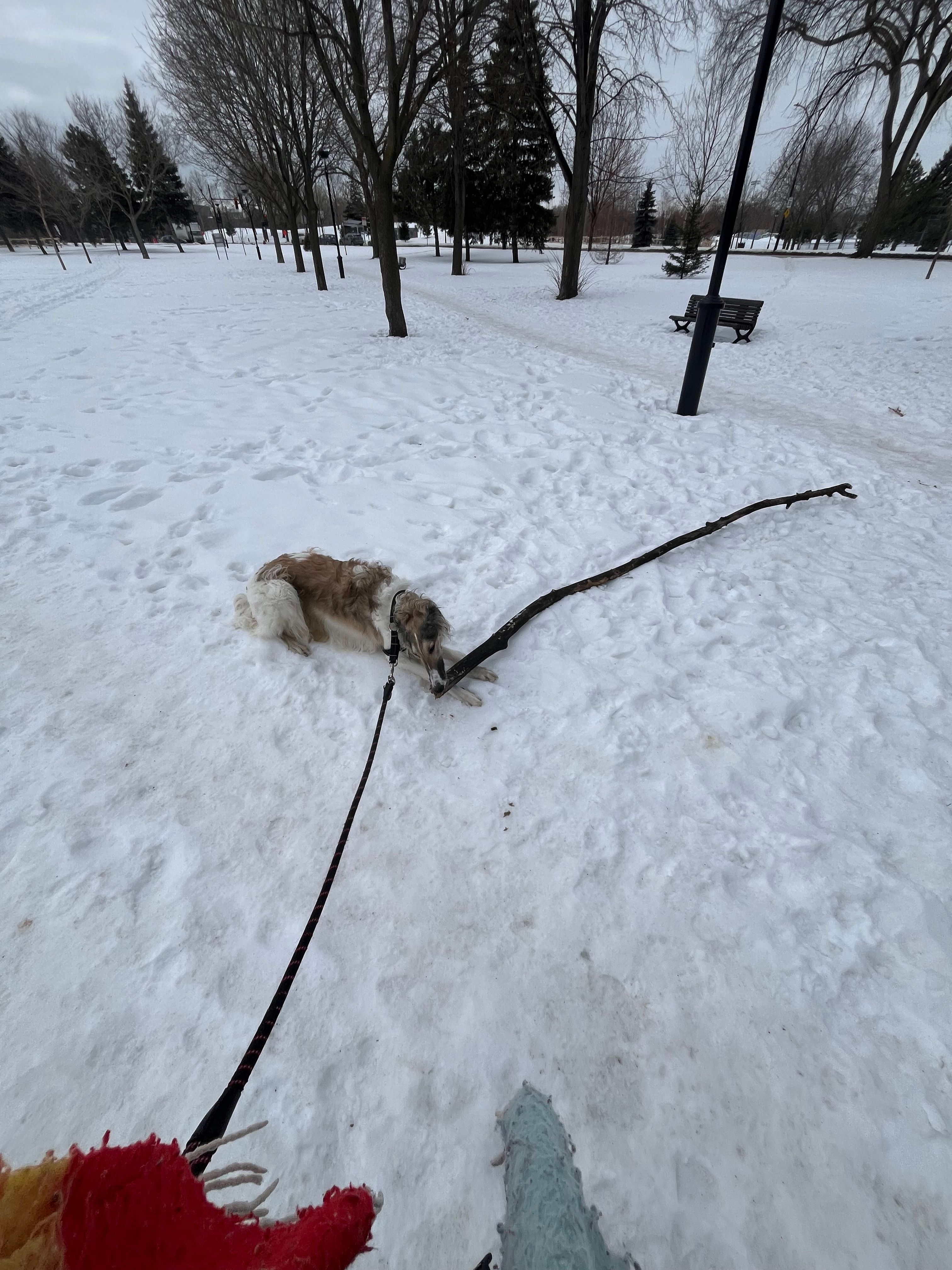 image-6