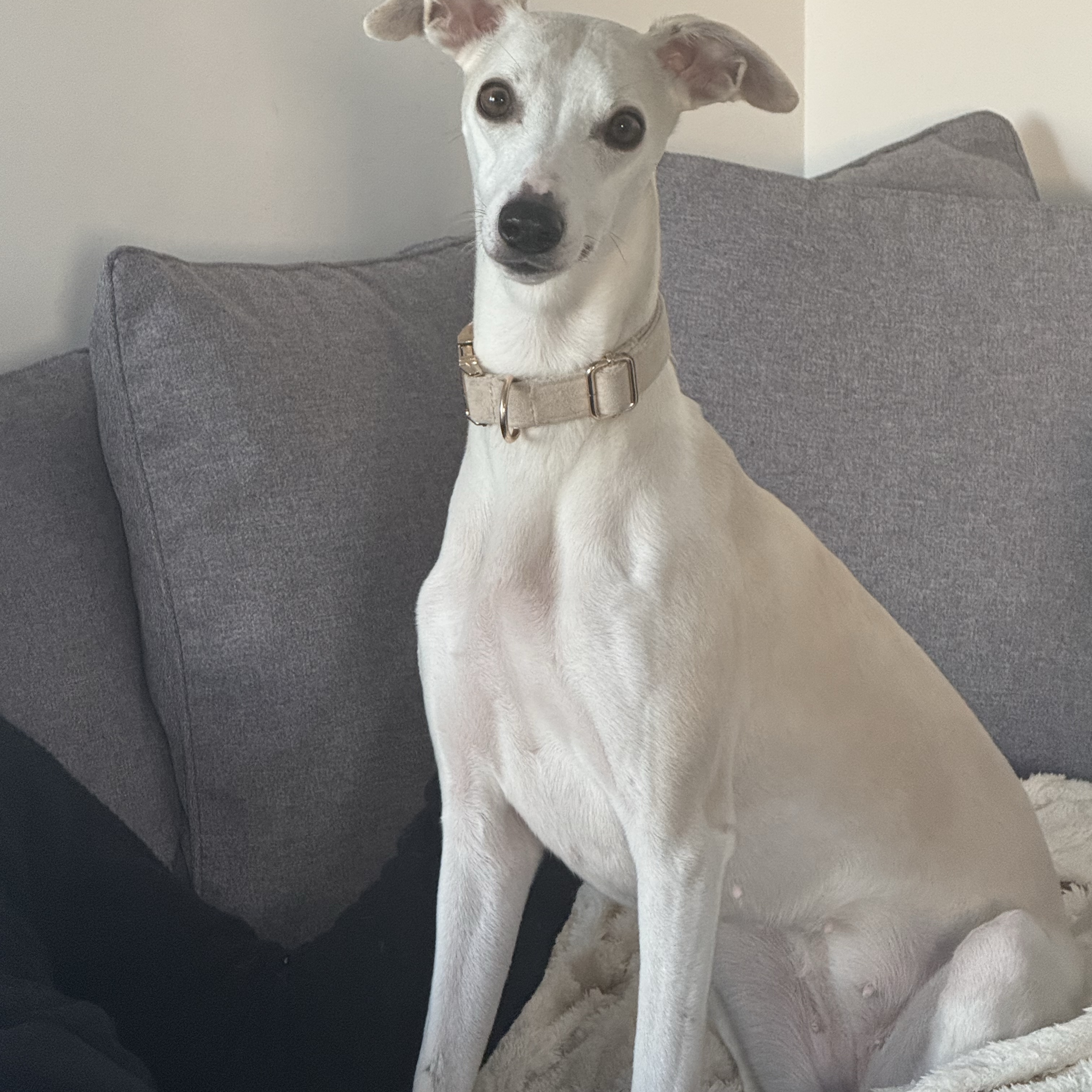 Skye 